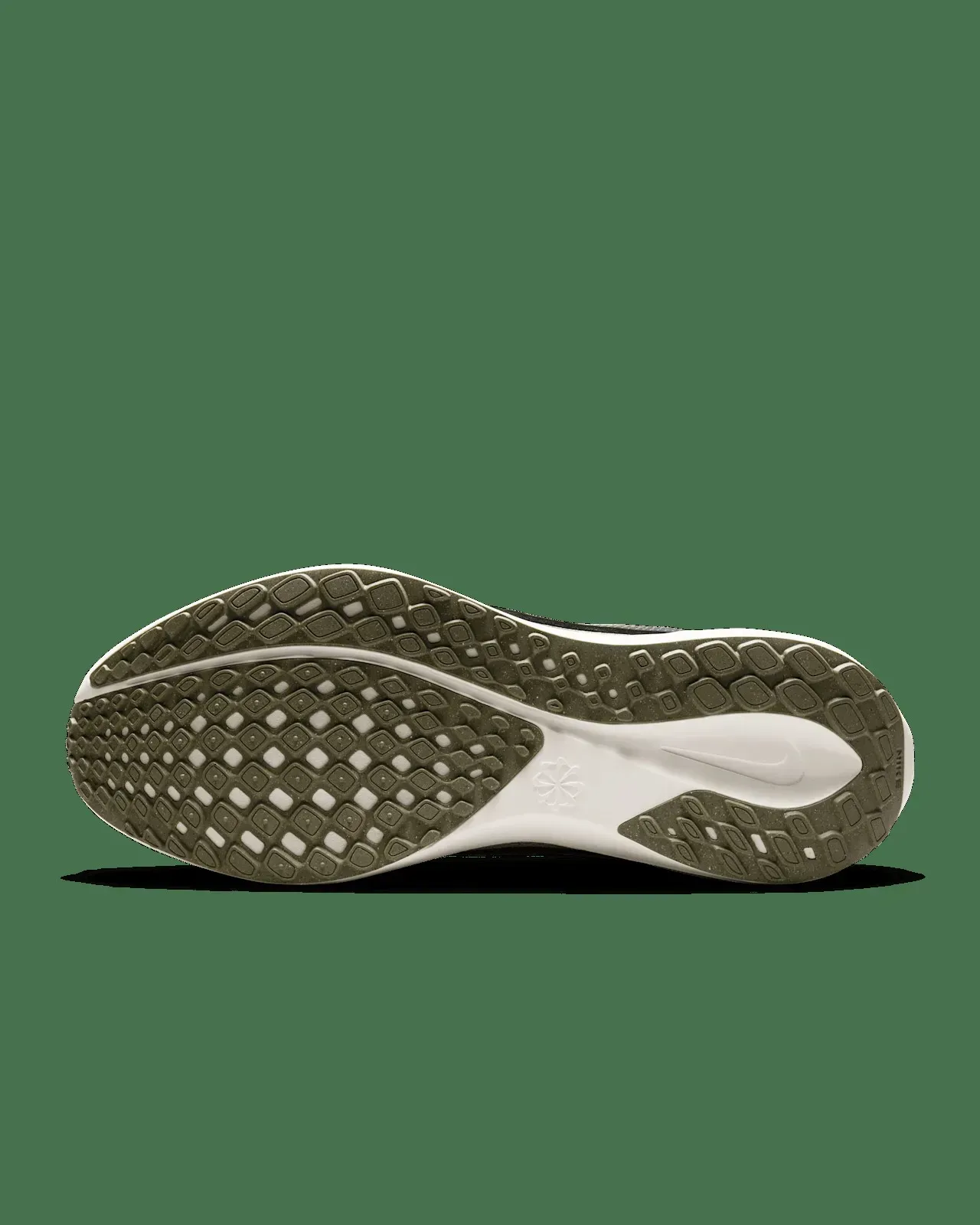 Кросівки чоловічі Nike Air Zoom Pegasus 41 (HQ6025-001)