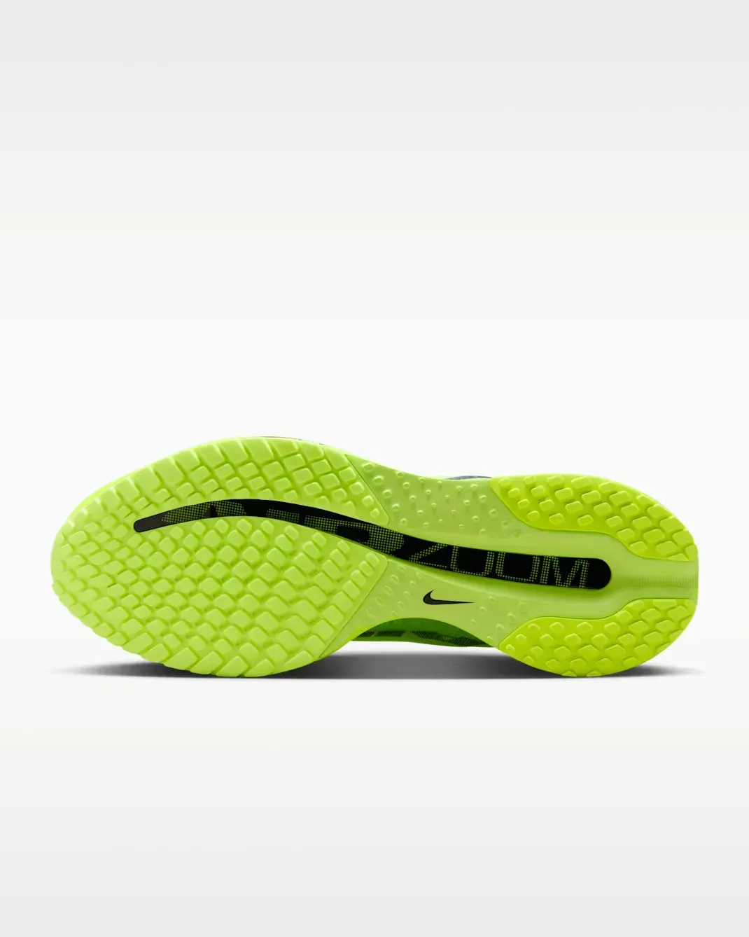 Кросівки чоловічі Nike Pegasus Premium (HQ2592-700)