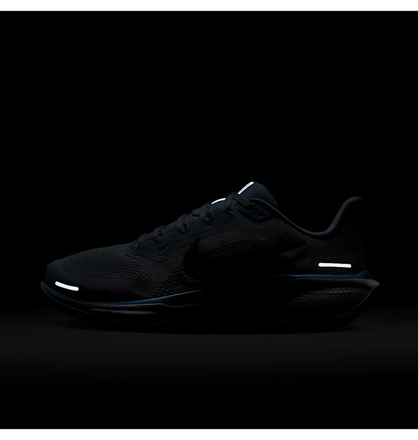 W AIR ZOOM PEGASUS 41