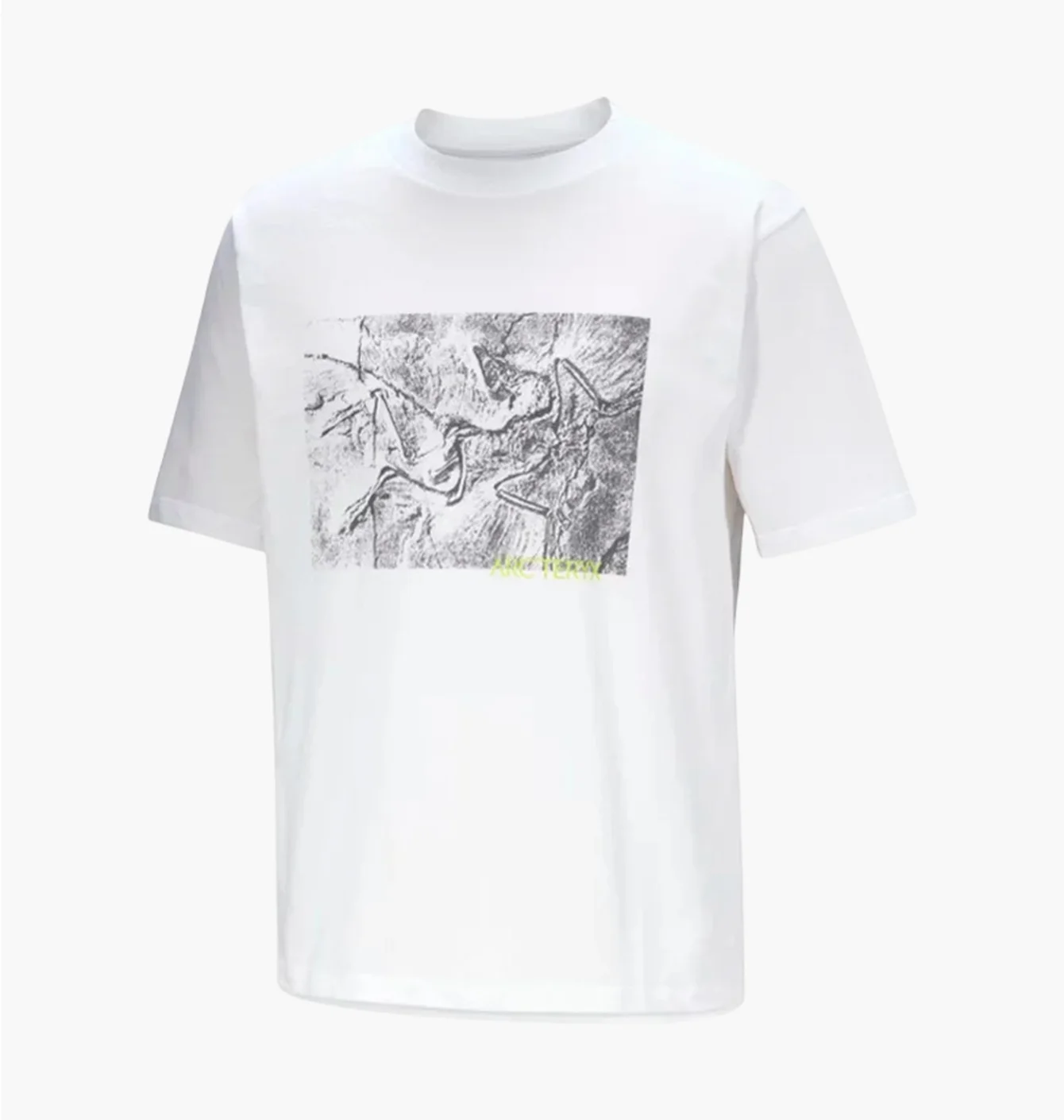 Футболка чоловіча Arc'teryx Kragg Cotton Lithographica White X00000992603