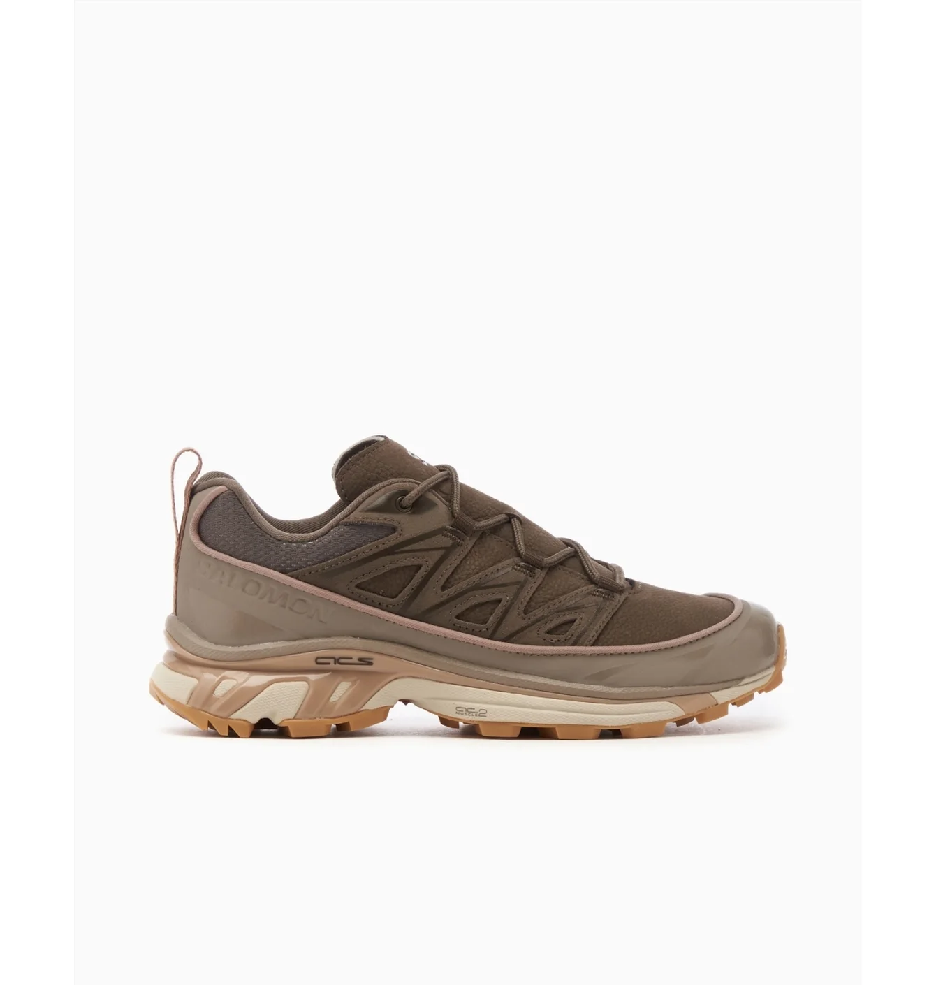 Кросівки Salomon Expanse LTR