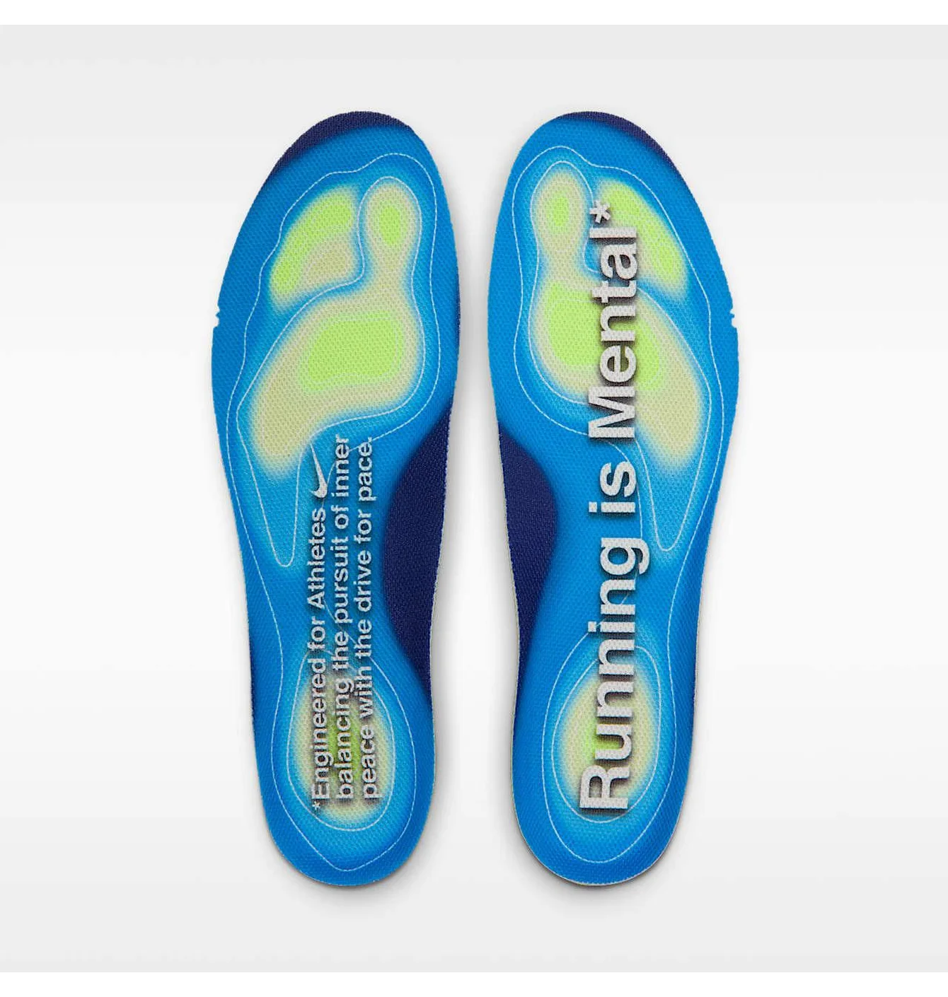 Кросівки чоловічі Nike Vomero Plus Grey IQ0308-094