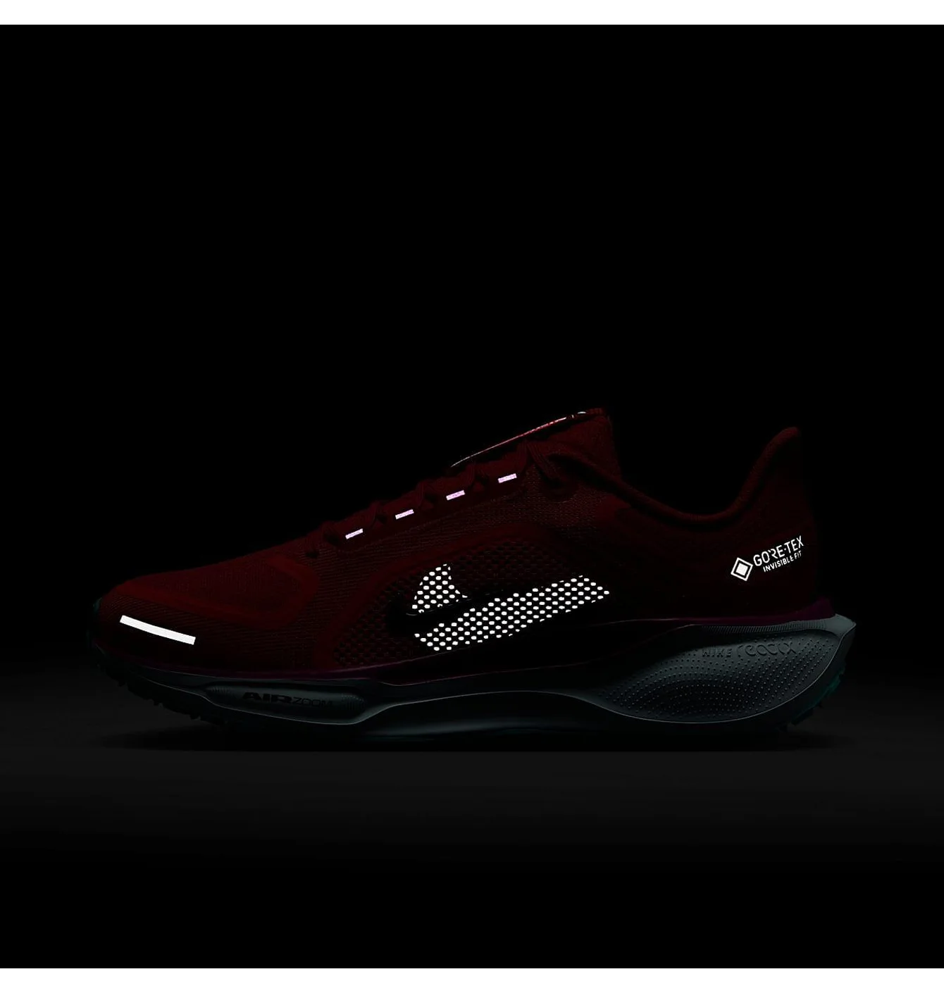 W NIKE PEGASUS 41 GORE TEX
