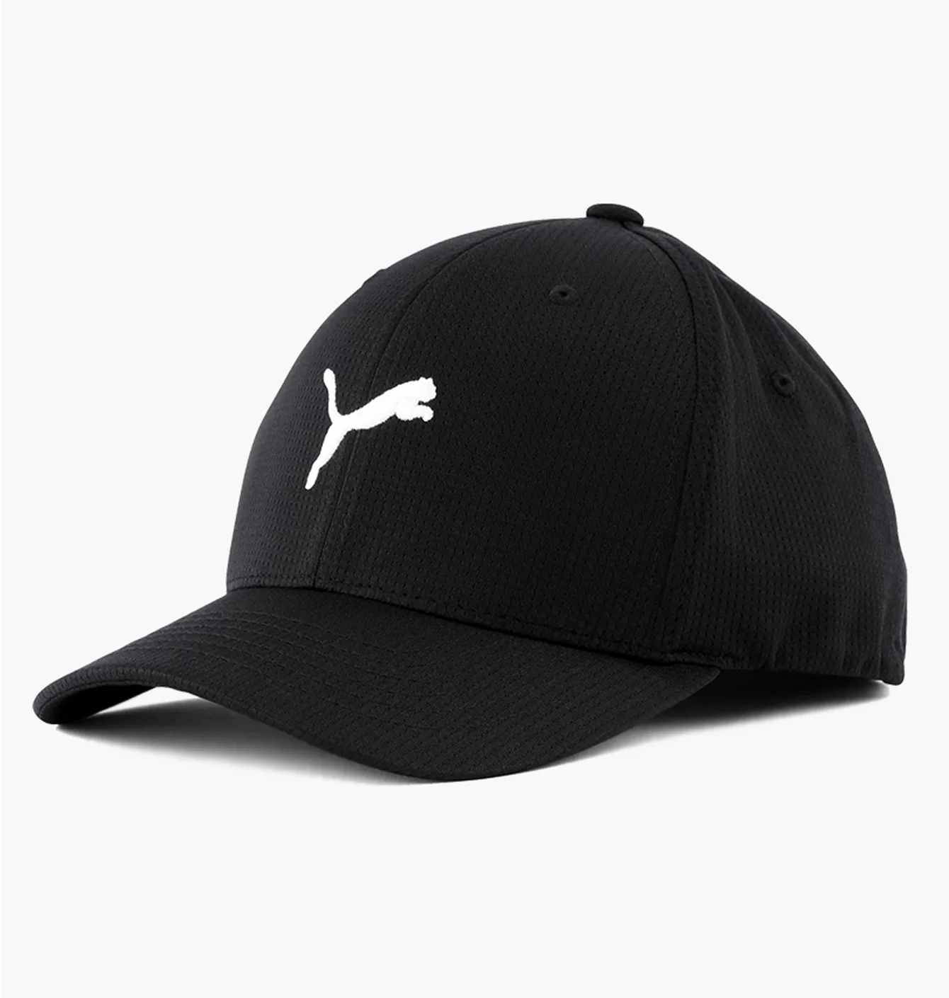 Кепка унісекс Puma Hudson Flexfit Black 859757-01