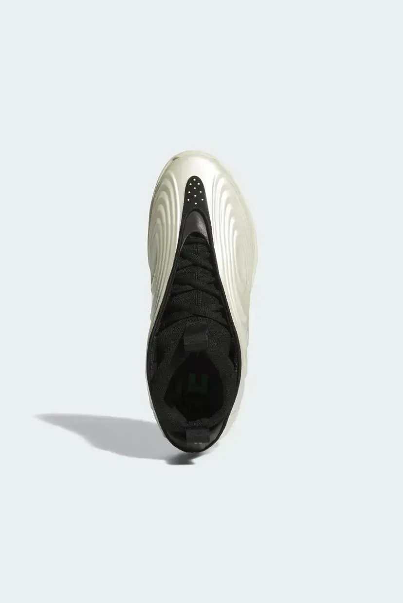 Кросівки унісекс Adidas Harden Volume 10 (JQ9453)