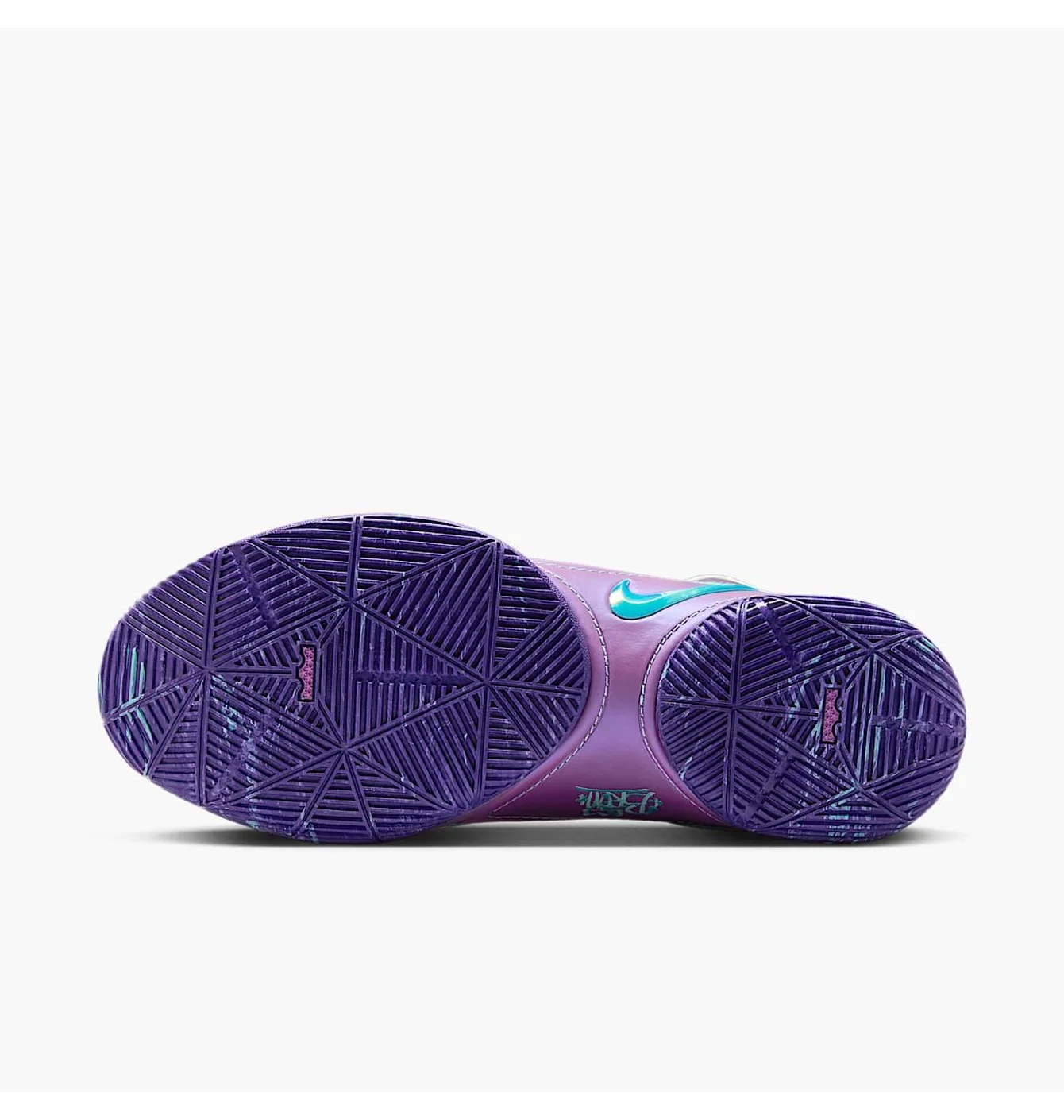 Кросівки чоловічі Nike Lebron Xxii Violet HV8454-001