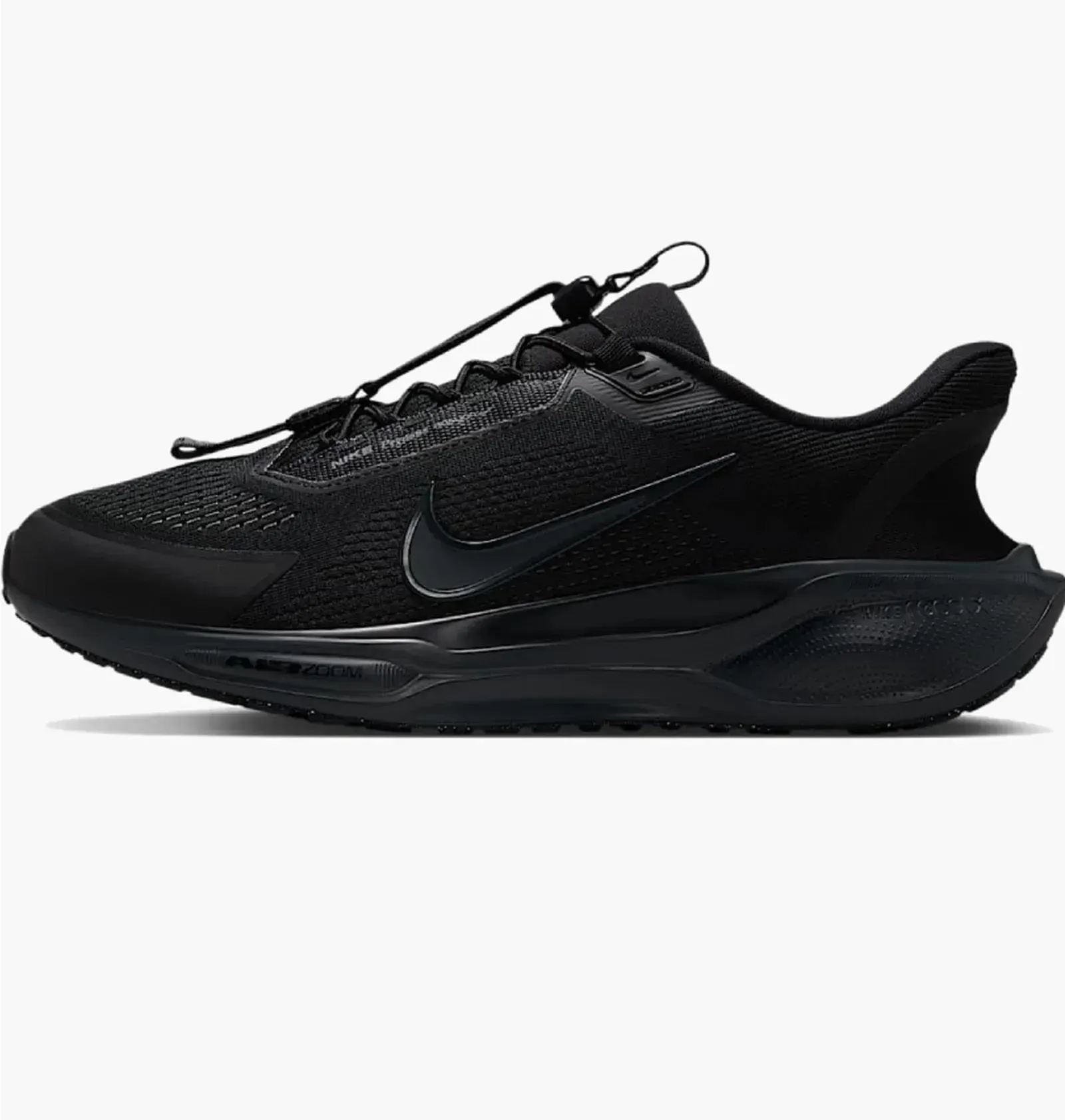 Кросівки чоловічі Nike Pegasus Easyon Black (FQ7837-600)