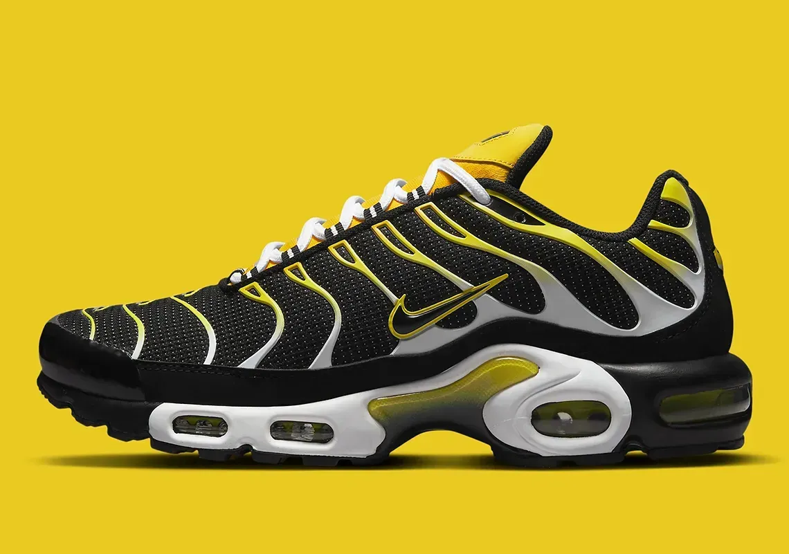 Кросівки чоловічі Nike Air Max Plus (DQ3983-001)
