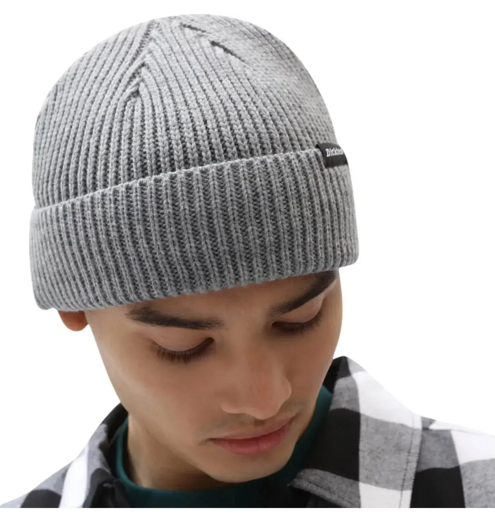 Dickies Woodworth beanie in grey