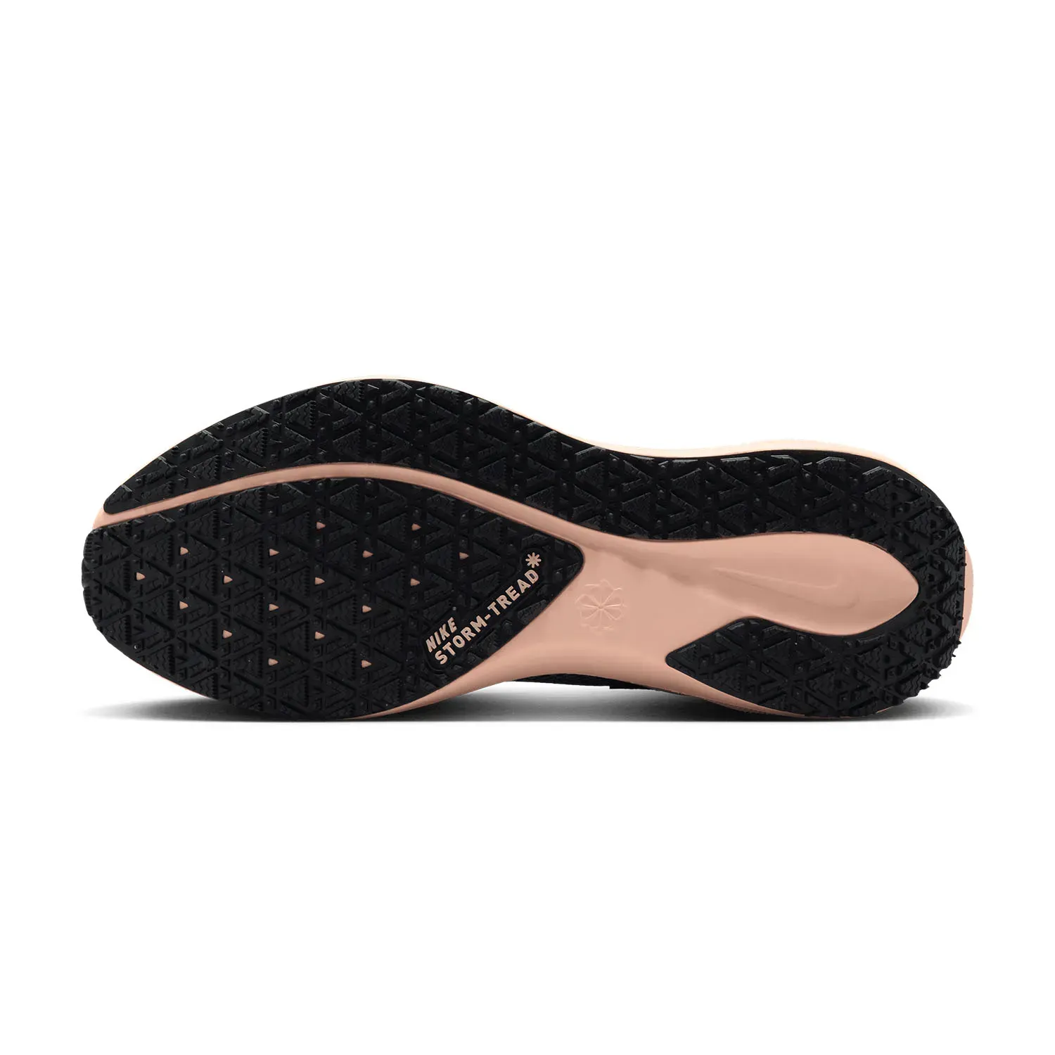 Кросівки жіночі Nike Pegasus 41 Gore-Tex (FQ1357-004)