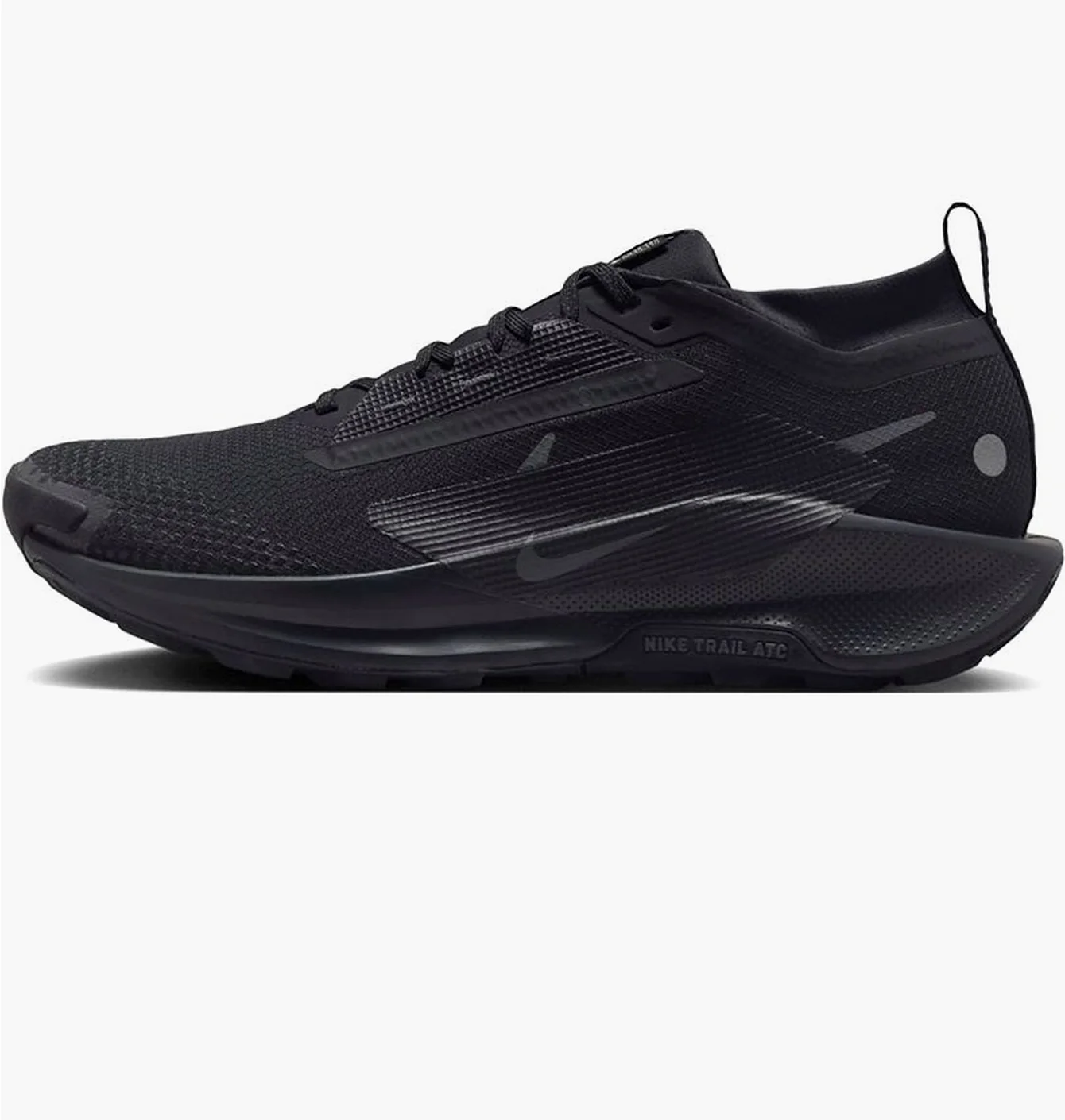 Nike Pegasus Trail 5 GORE-TEX
