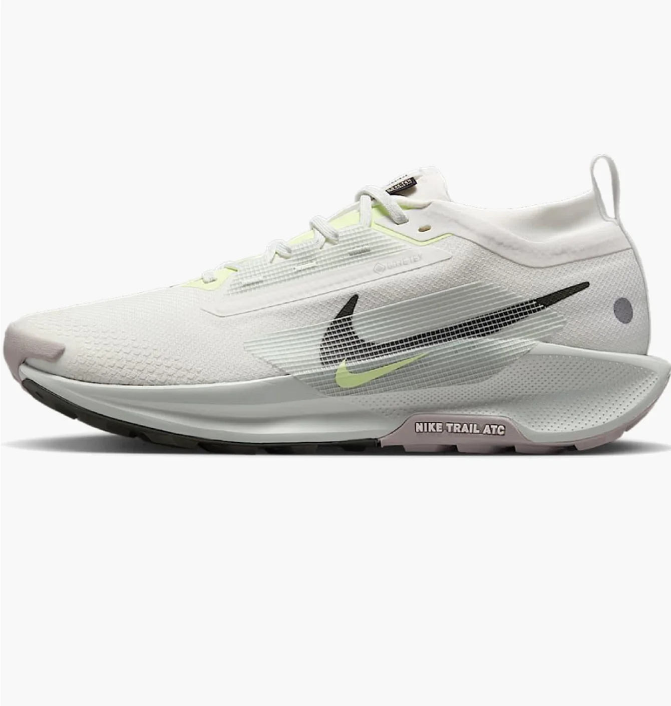 Nike Pegasus Trail 5 Gore-Rex