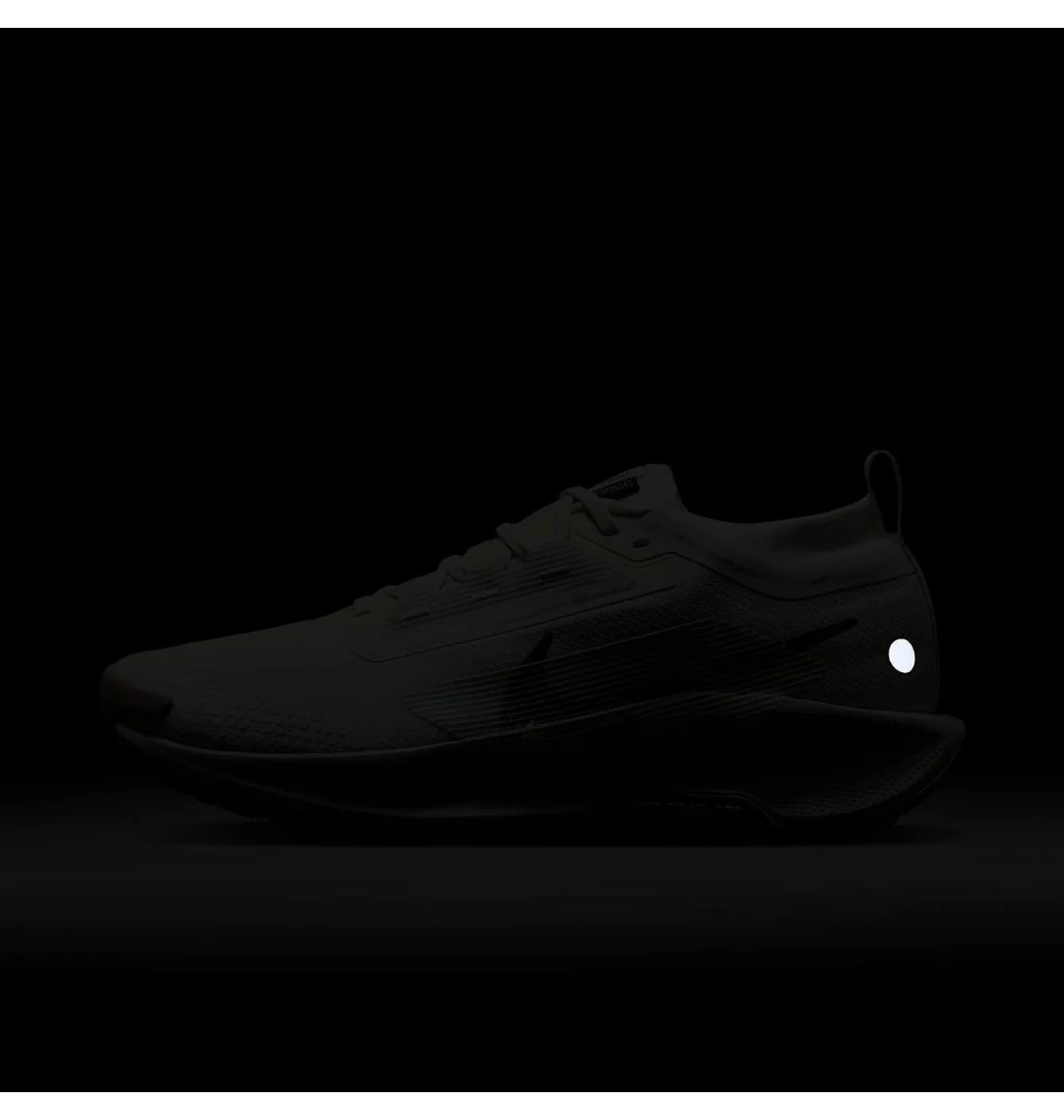 Nike Pegasus Trail 5 Gore-Rex