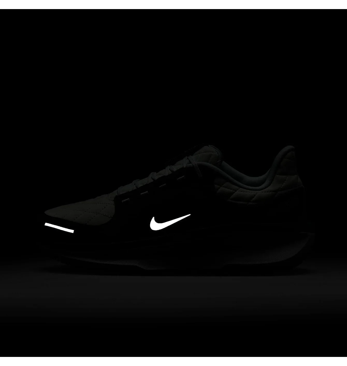 Nike Winflo 11