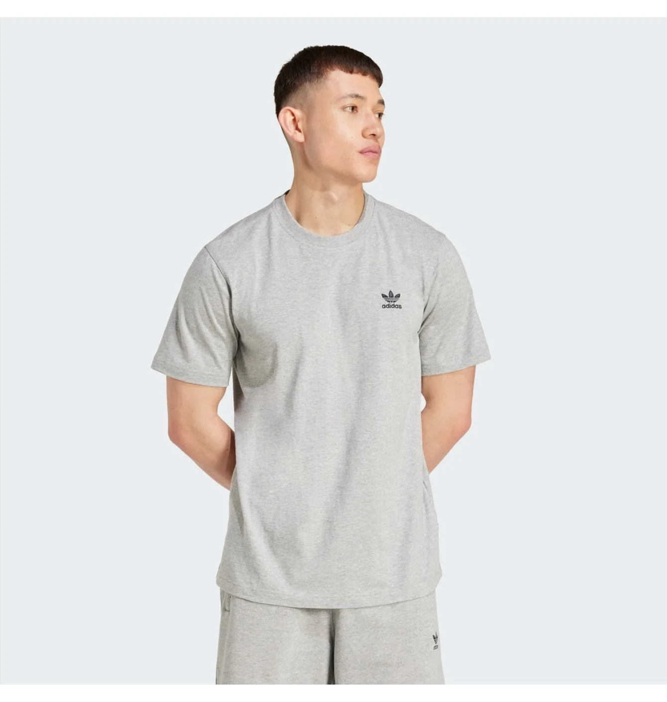 Футболка чоловіча Adidas Trefoil Essentials Grey IZ2096