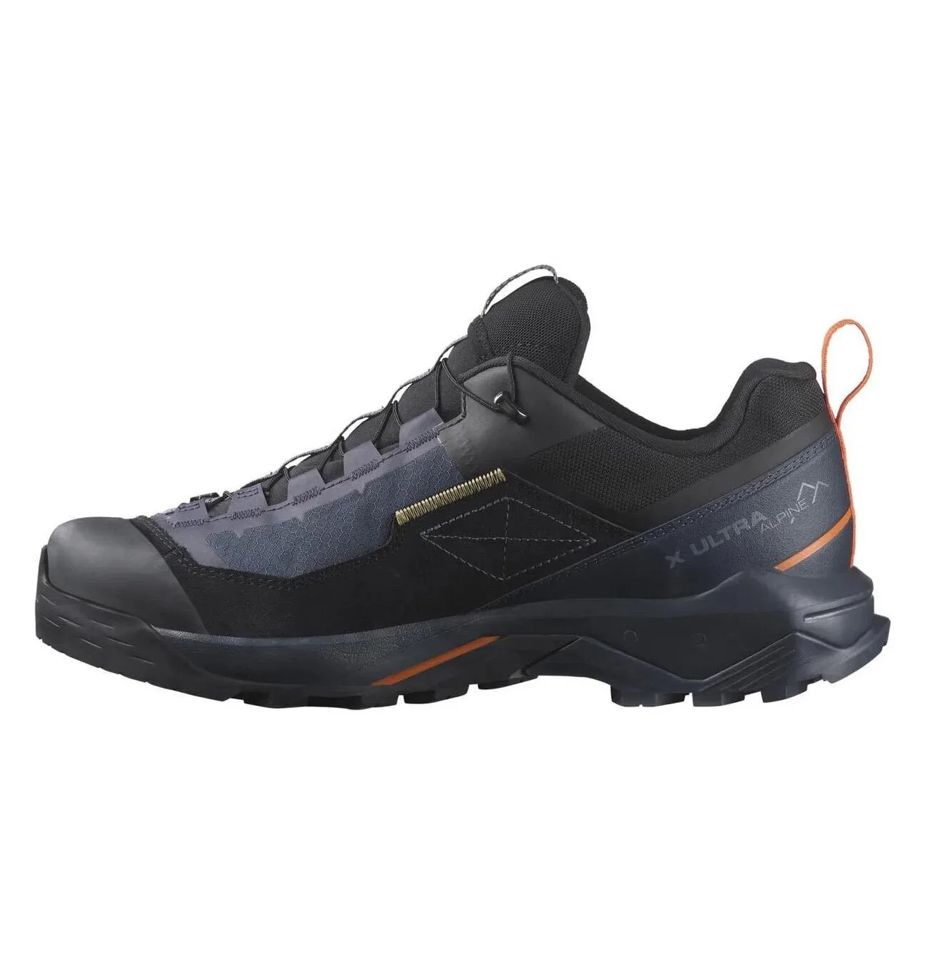 Salomon X Ultra Alpine GTX