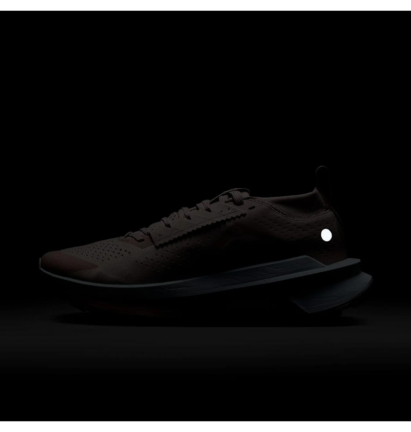 W NIKE ZOOMX ZEGAMA TRAIL 2