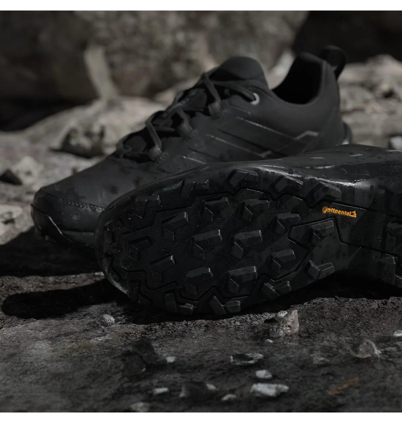 Adidas TERREX SKYCHASER AX GTX
