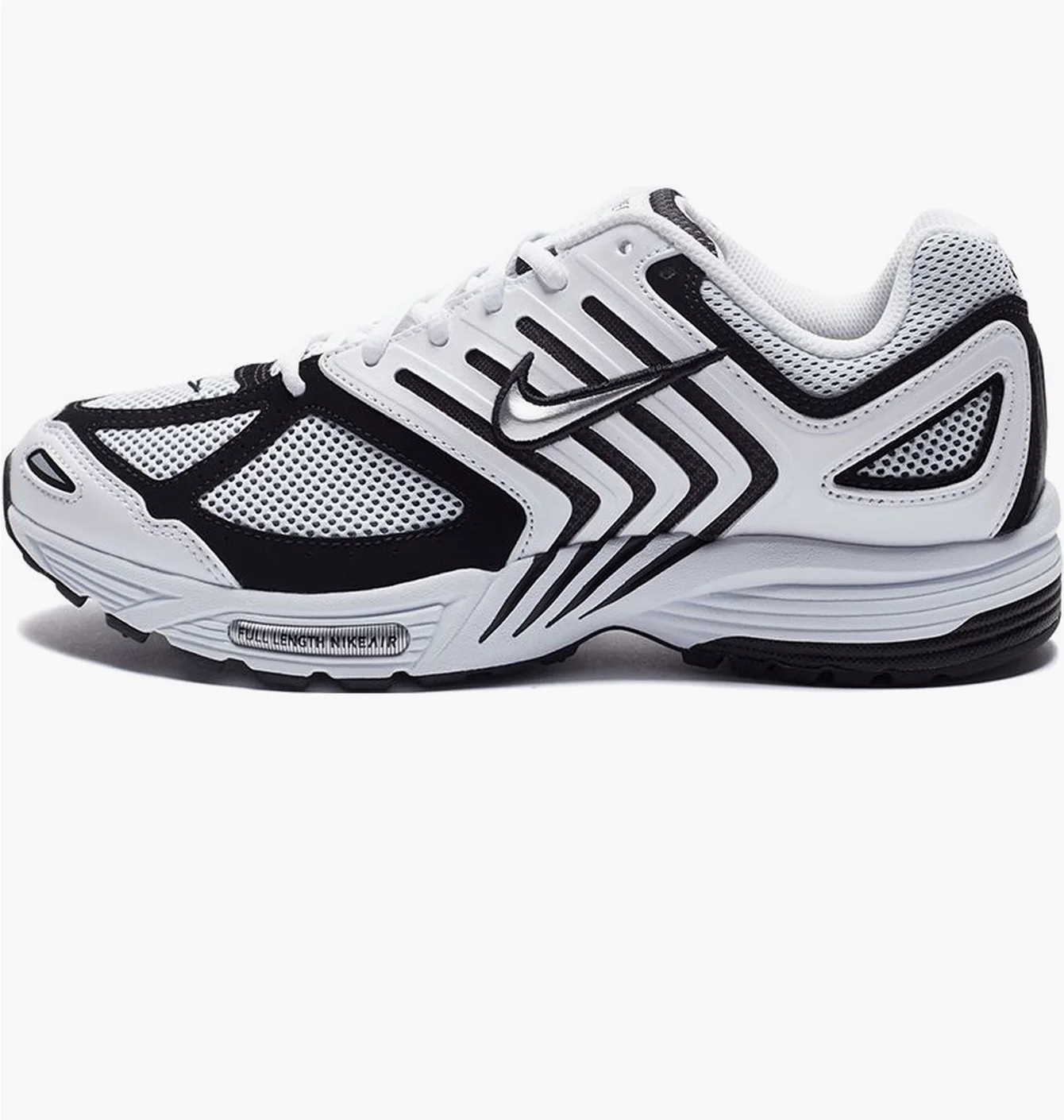 Nike Air Pegasus 2005