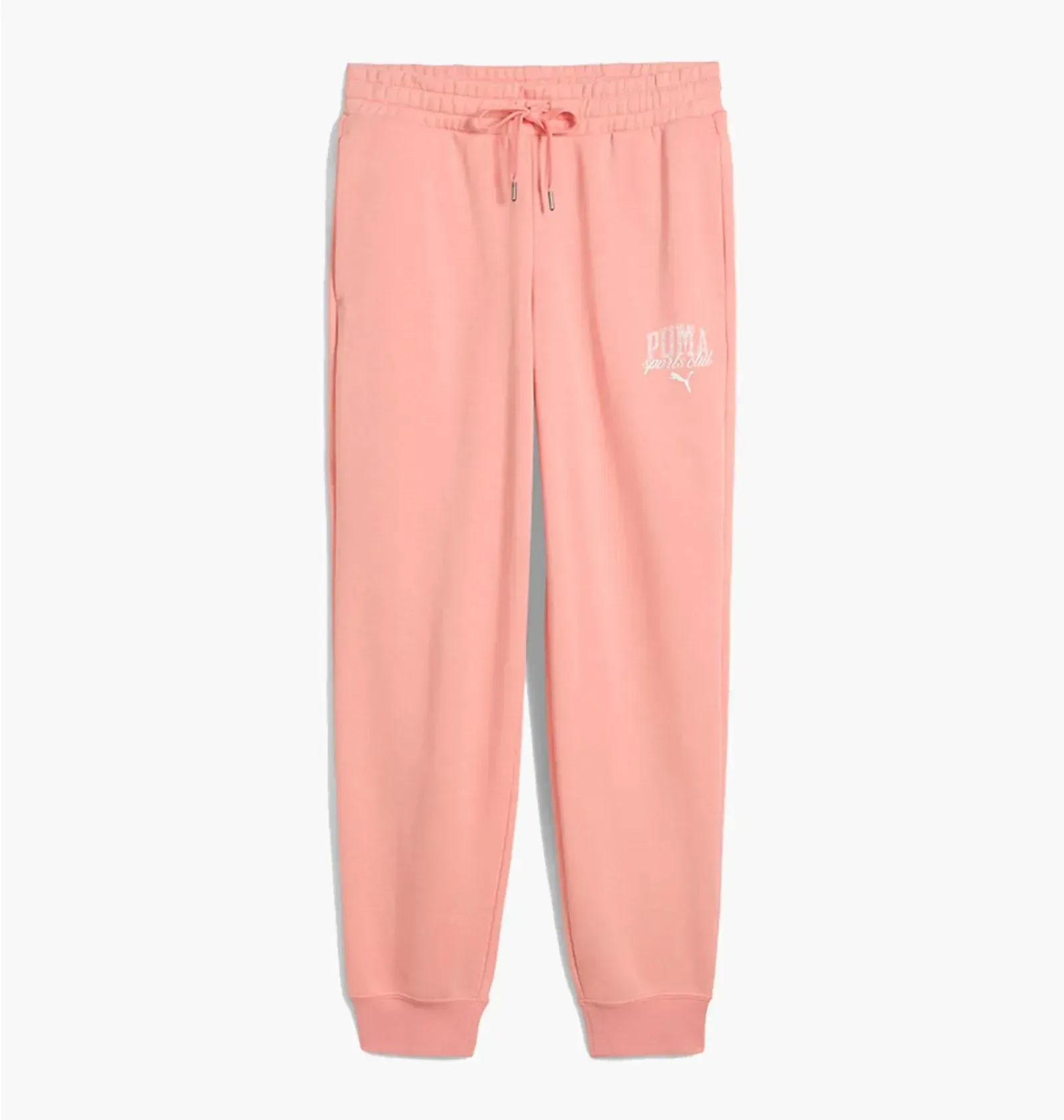 Брюки жіночі Puma Class Comfort Sweatpants Tr Cl (68503718)