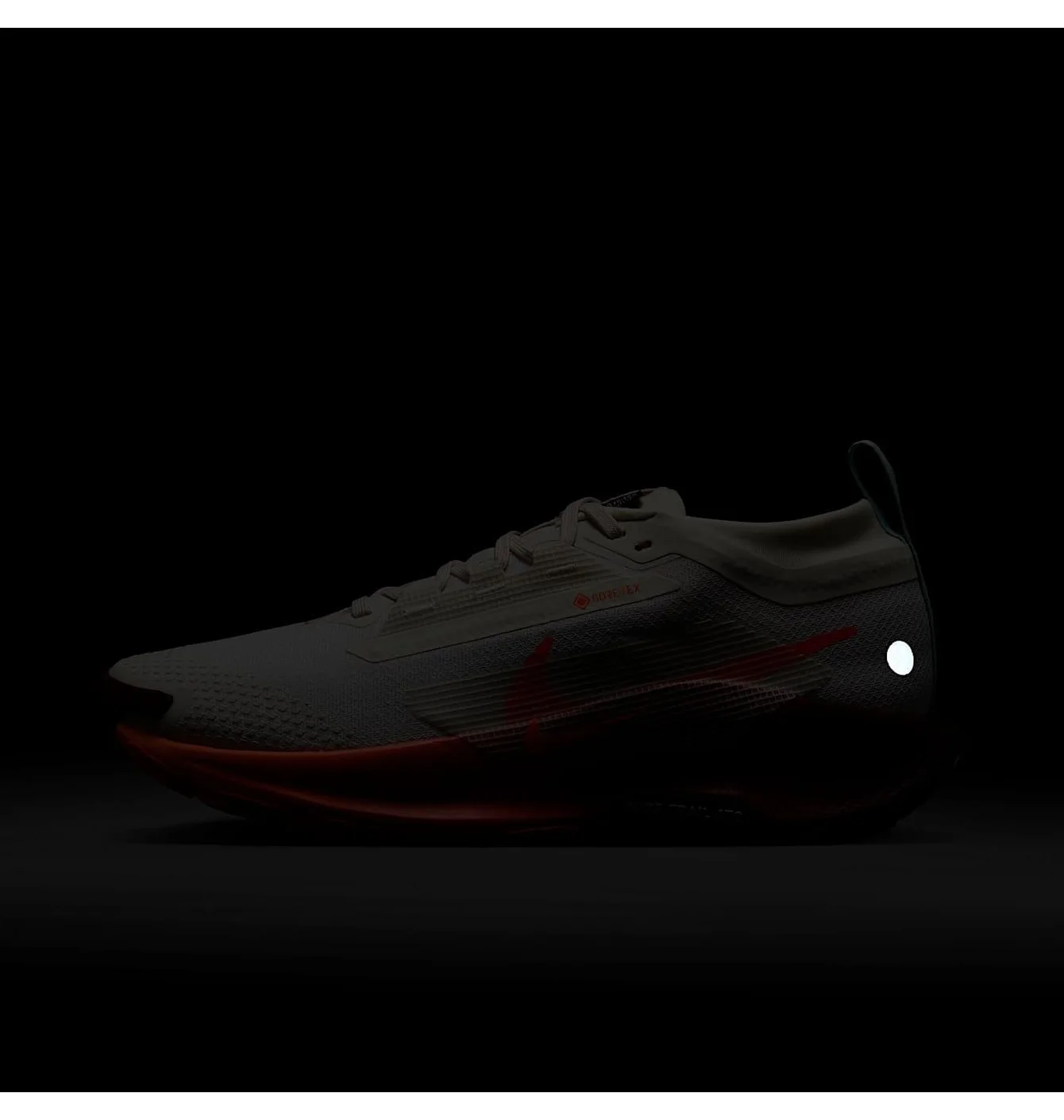 W NIKE PEGASUS TRAIL 5 GTX