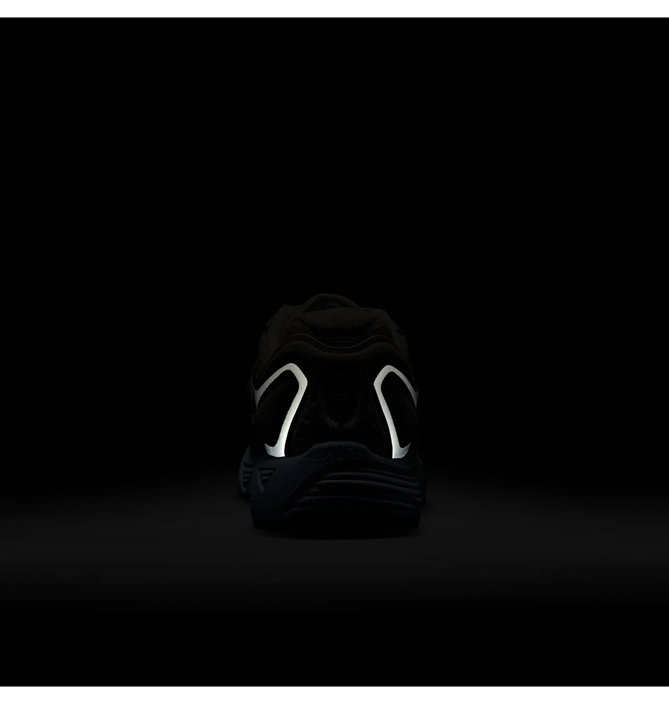 NIKE PEGASUS WAVE