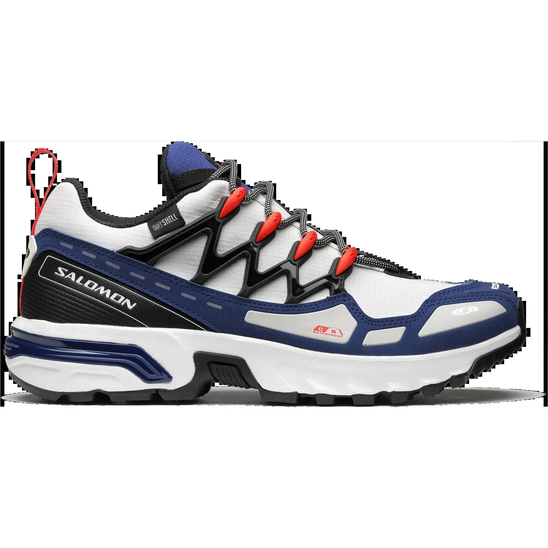 Salomon Acs + Cswp
