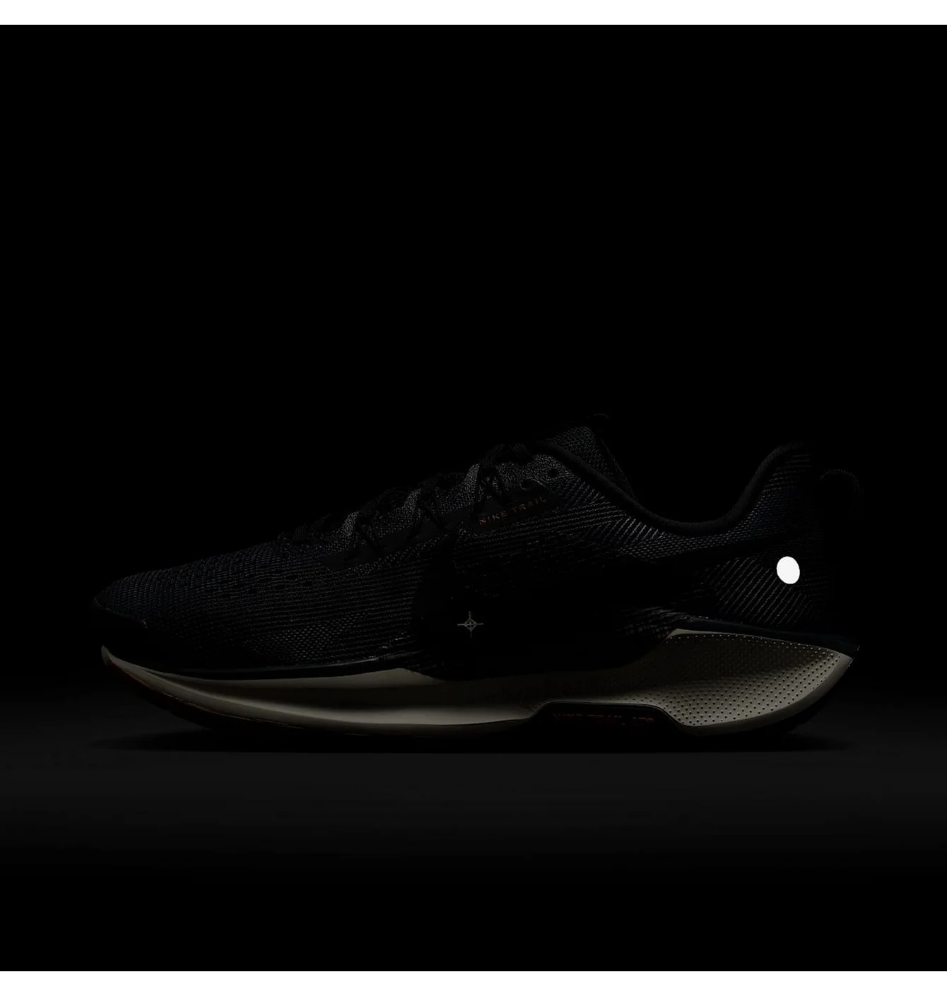 Кросівки чоловічі Nike Pegasus Trail 5 Black DV3864-006