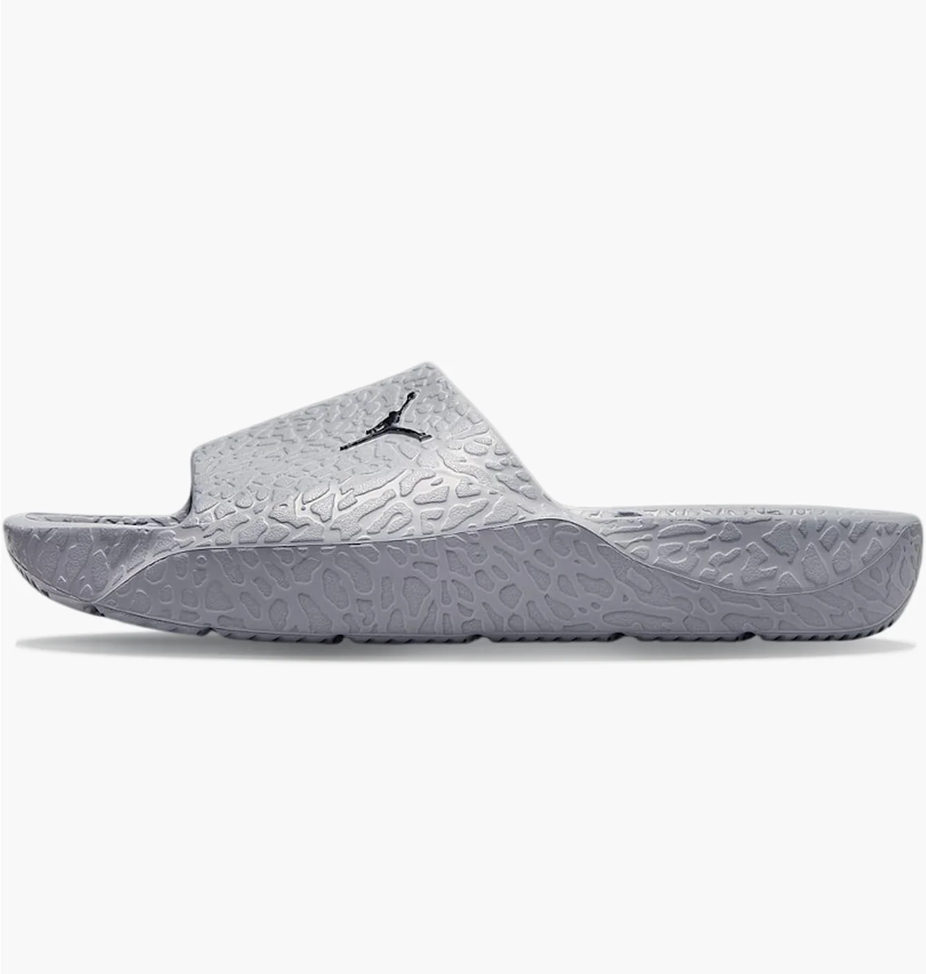 Jordan Franchise Shower Slide