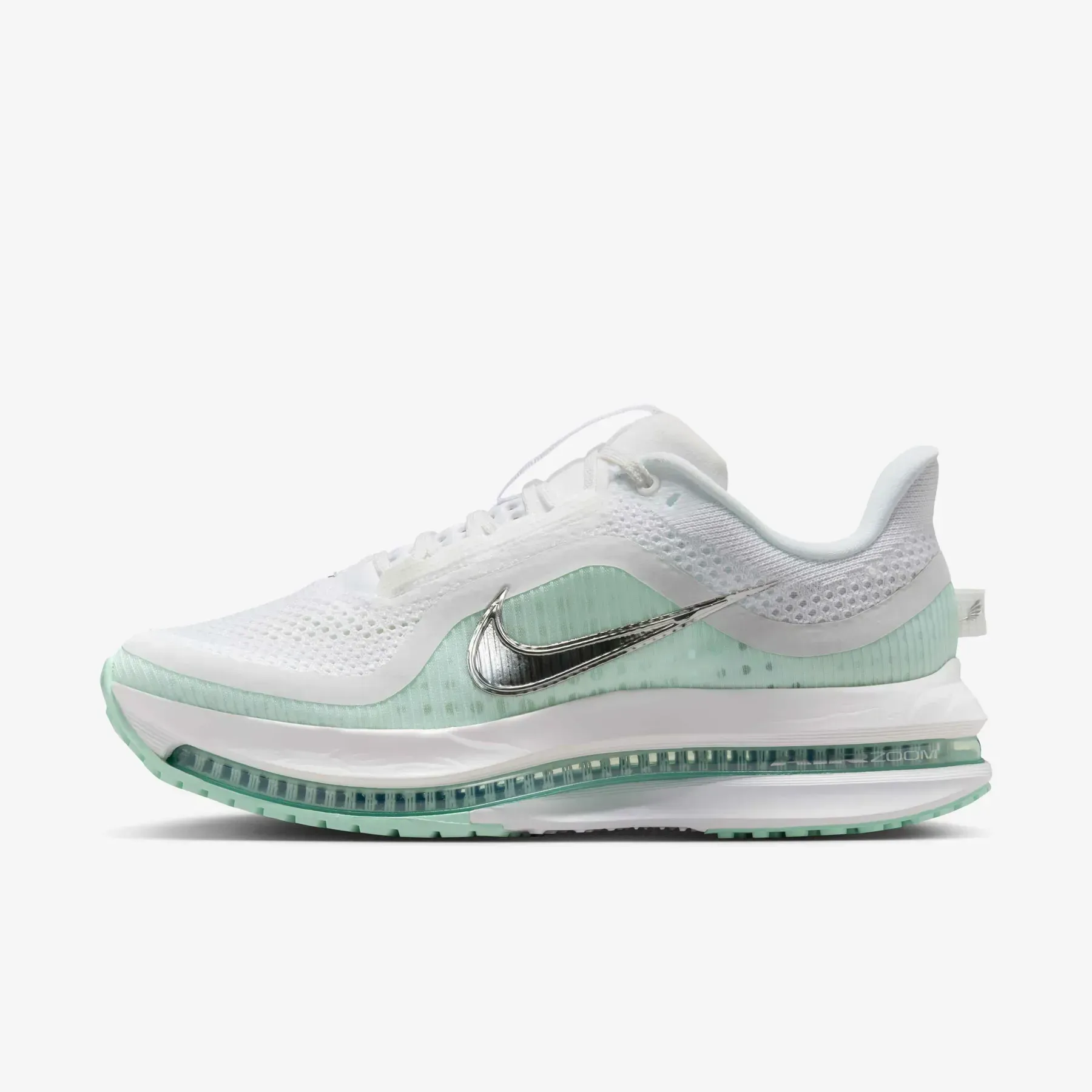 Кросівки жіночі Nike Pegasus Premium (HQ2593-103)