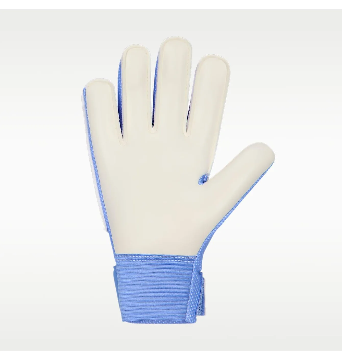 Рукавиці воротарські дитячі Nike Match Blue/Violet HQ0258-494