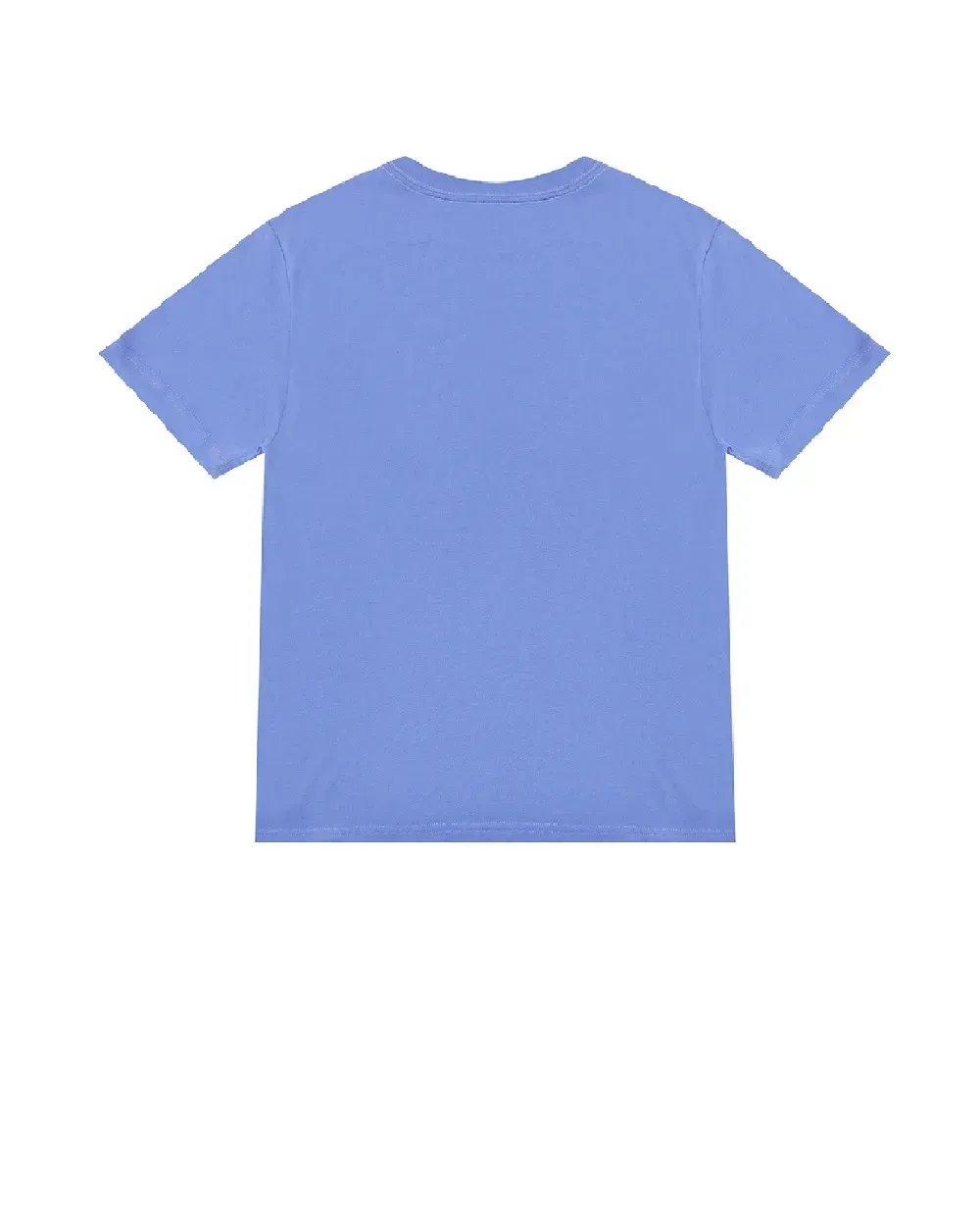 RALPH LAUREN T-Shirt BLUE kids