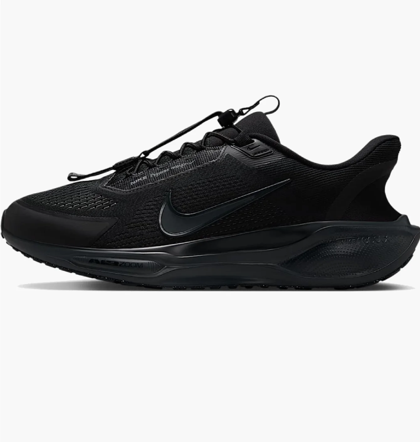 NIKE PEGASUS EASYON