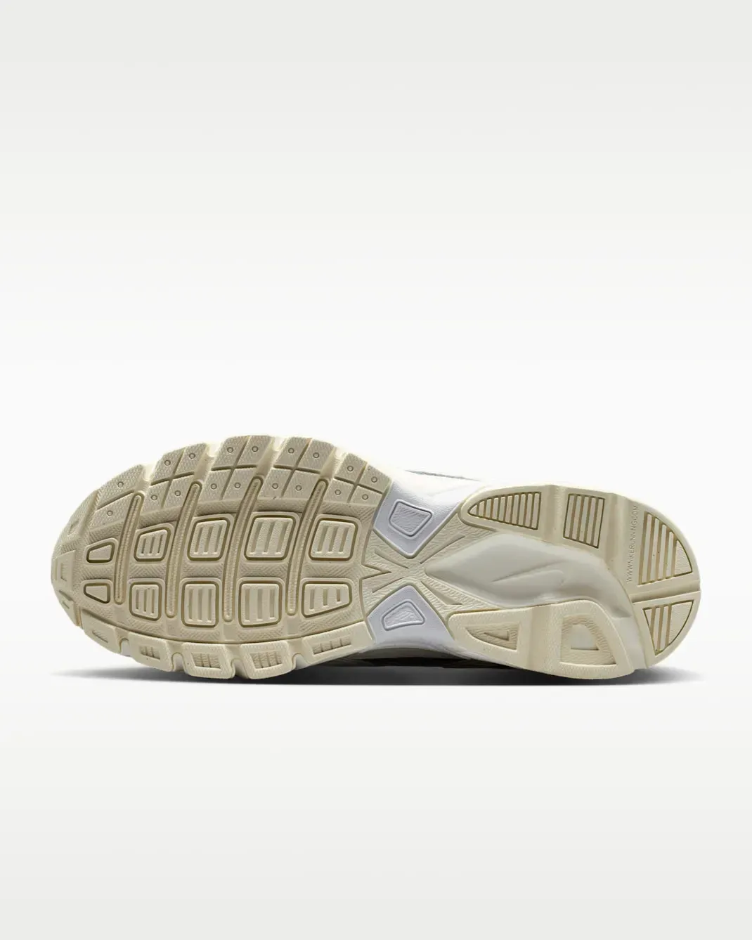 Кросівки жіночі Nike Initiator (394053-105)