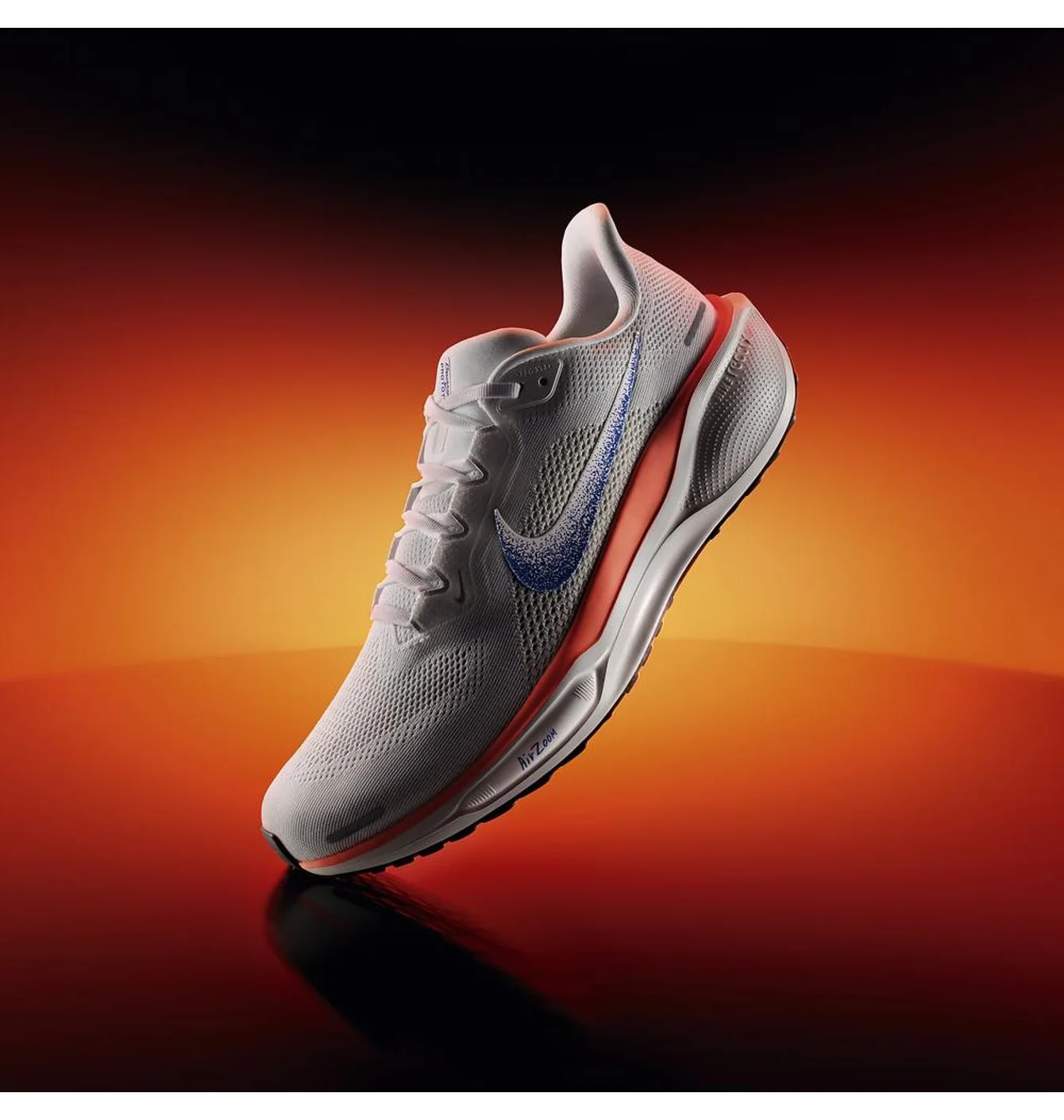 W AIR ZOOM PEGASUS 41