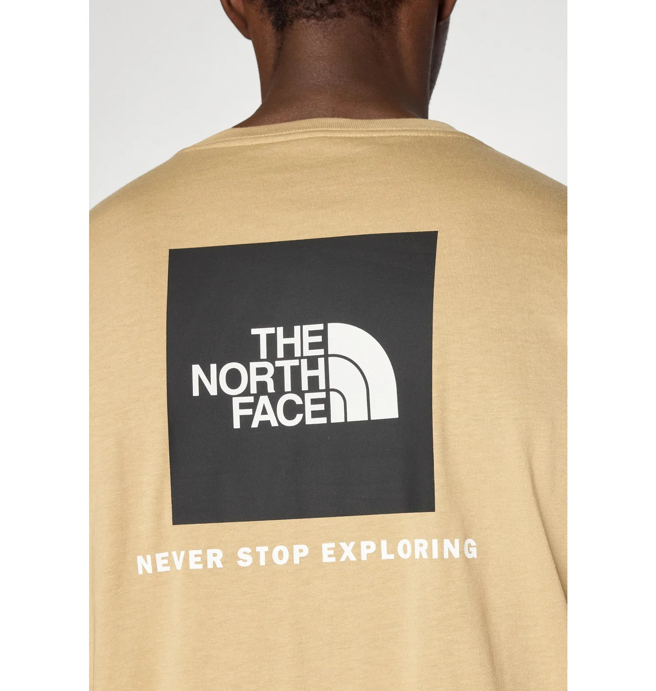 Футболка The North Face Evolution Box Beige