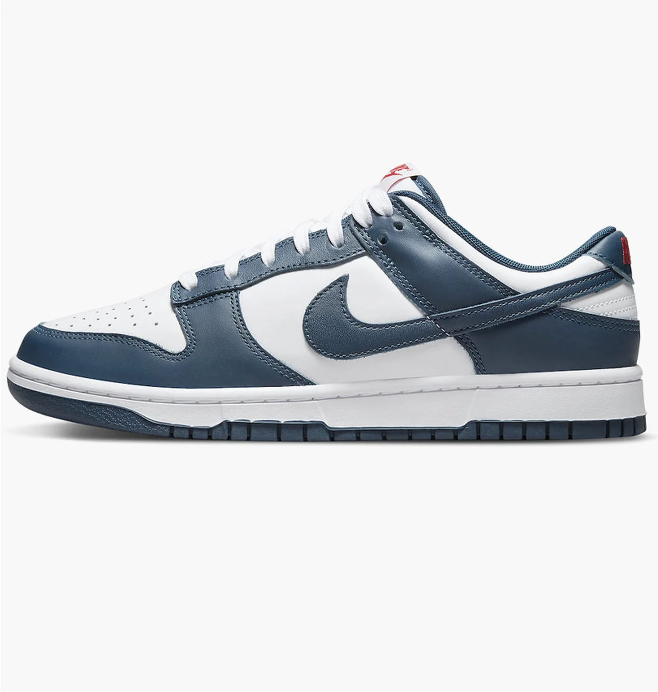 Nike Dunk Low Retro Valerian Blue