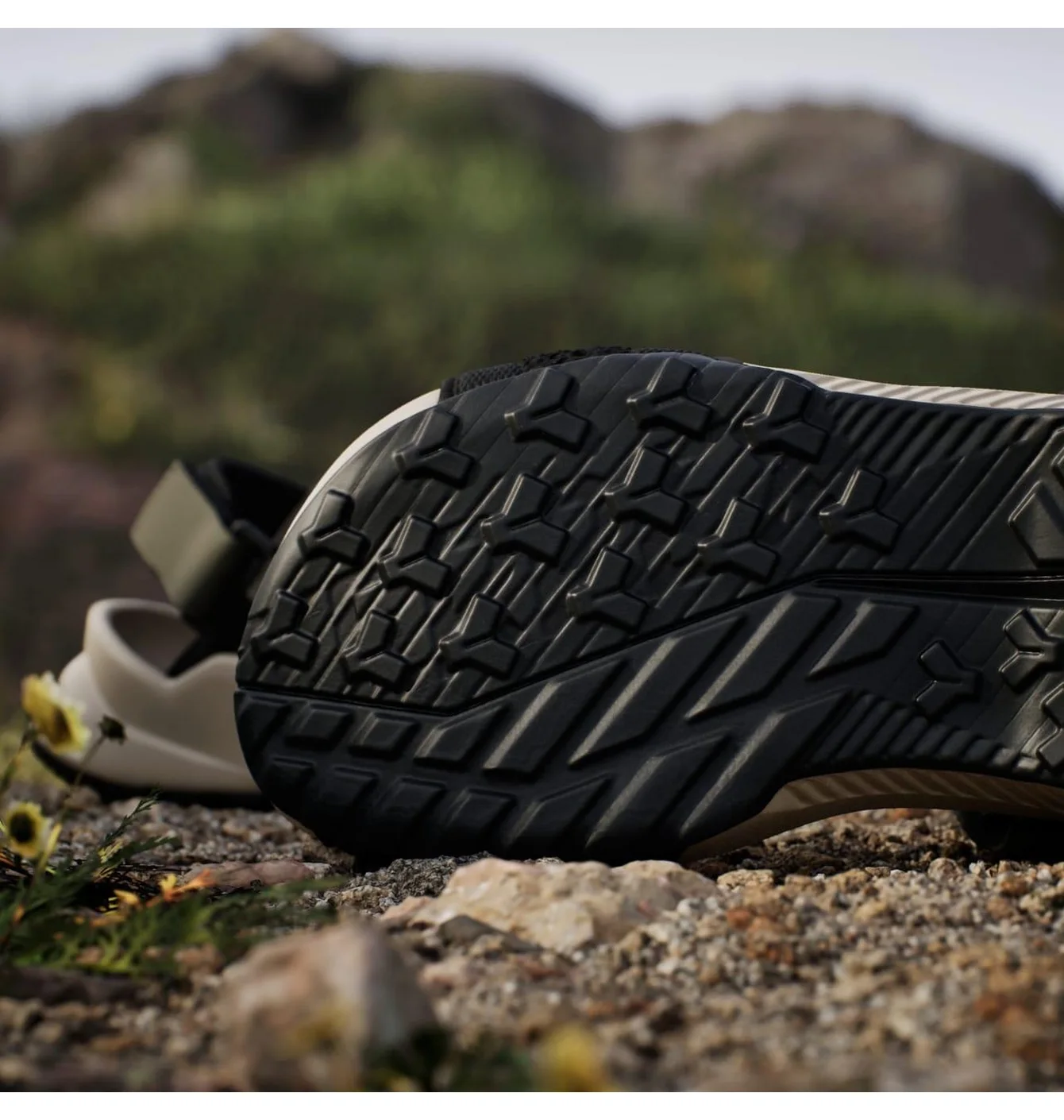 Adidas Terrex Hydroterra