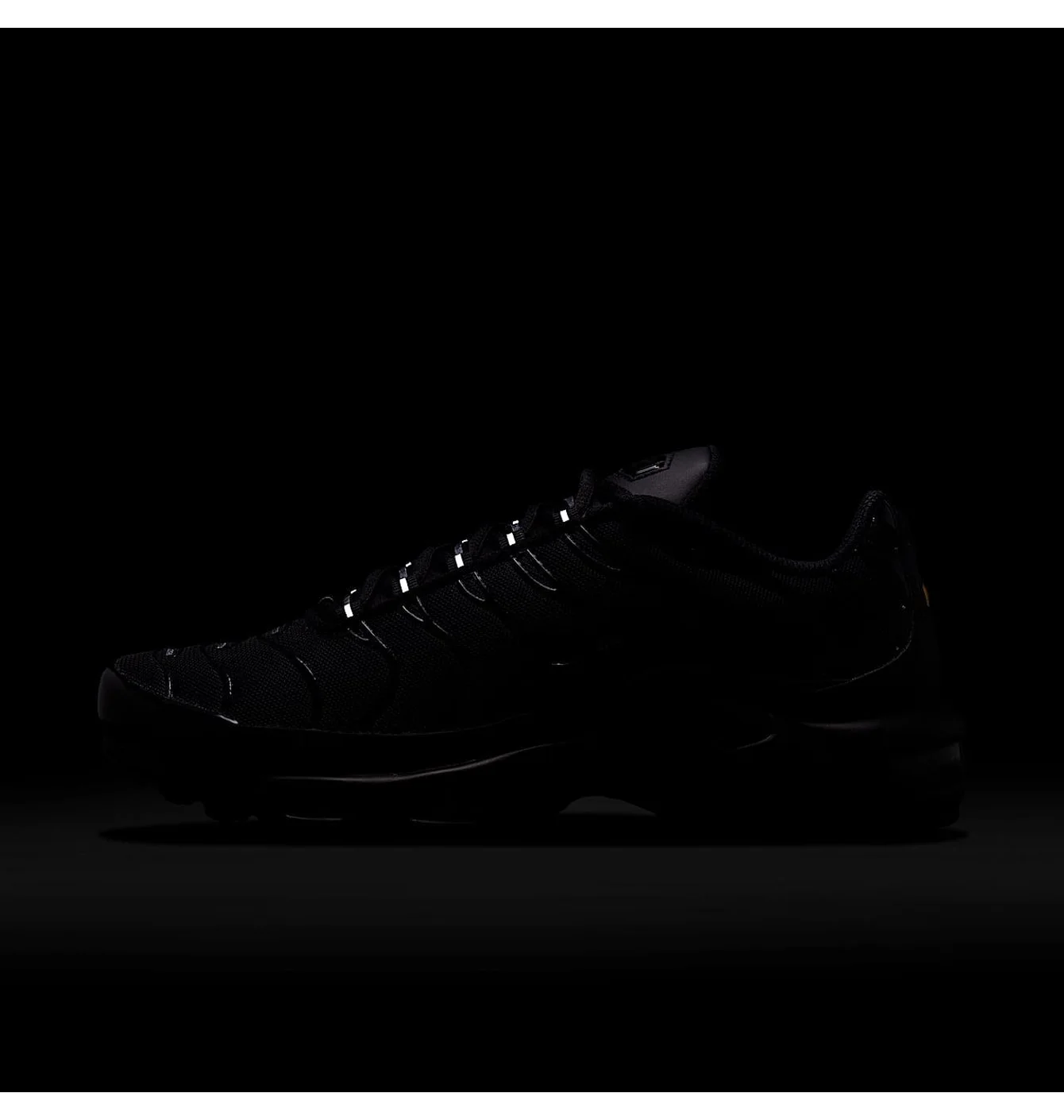 Кросівки жіночі Nike Air Max Plus WomenS Shoes Black DM2362-002