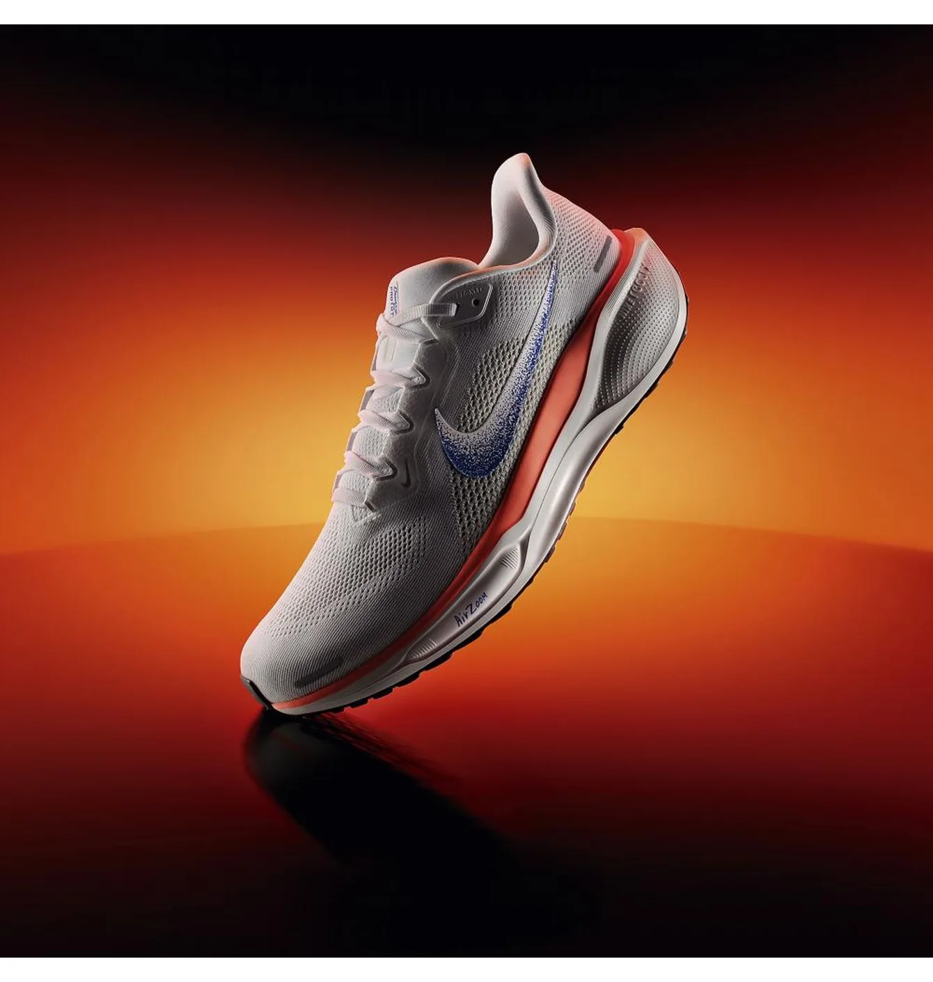 AIR ZOOM PEGASUS 41