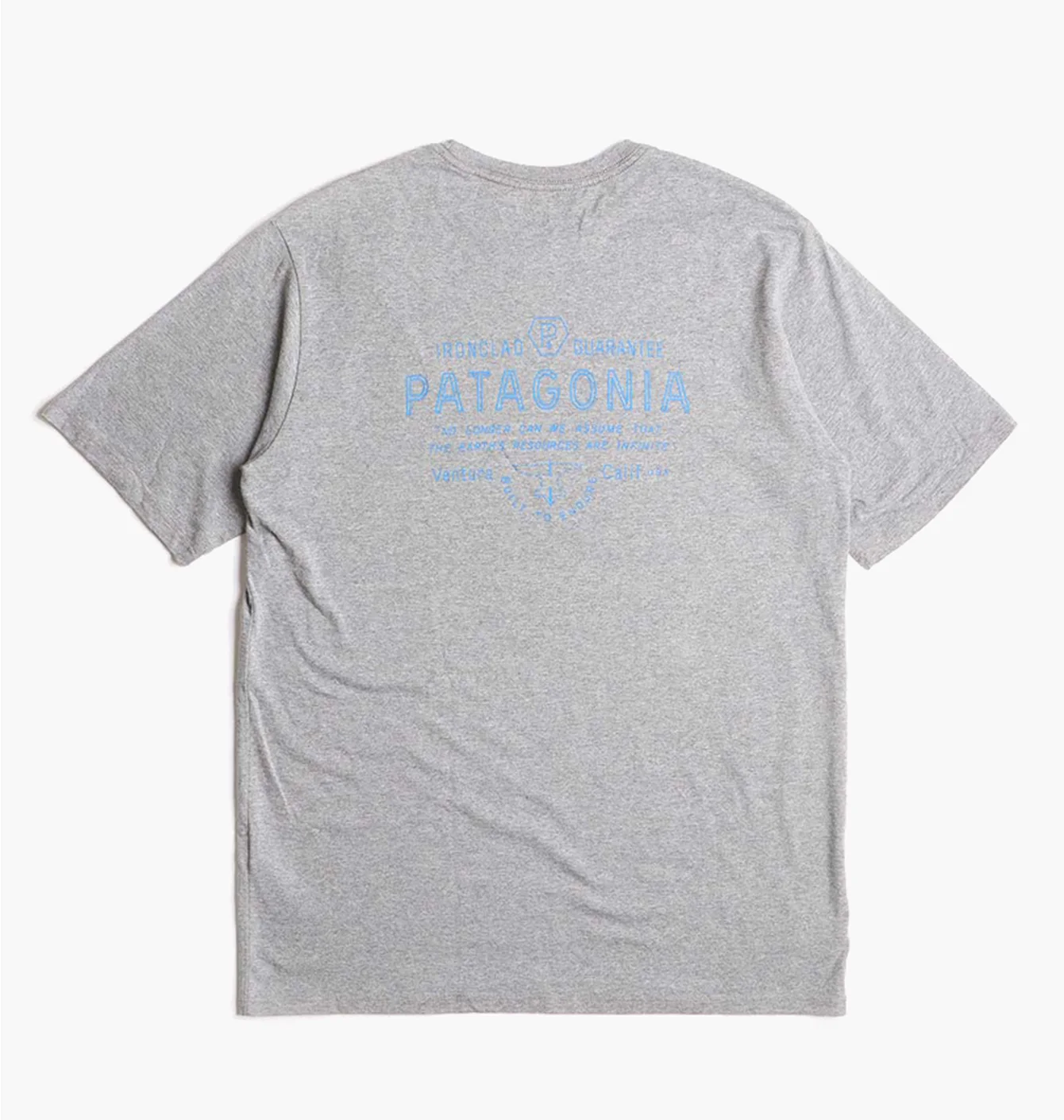 Patagonia Tee