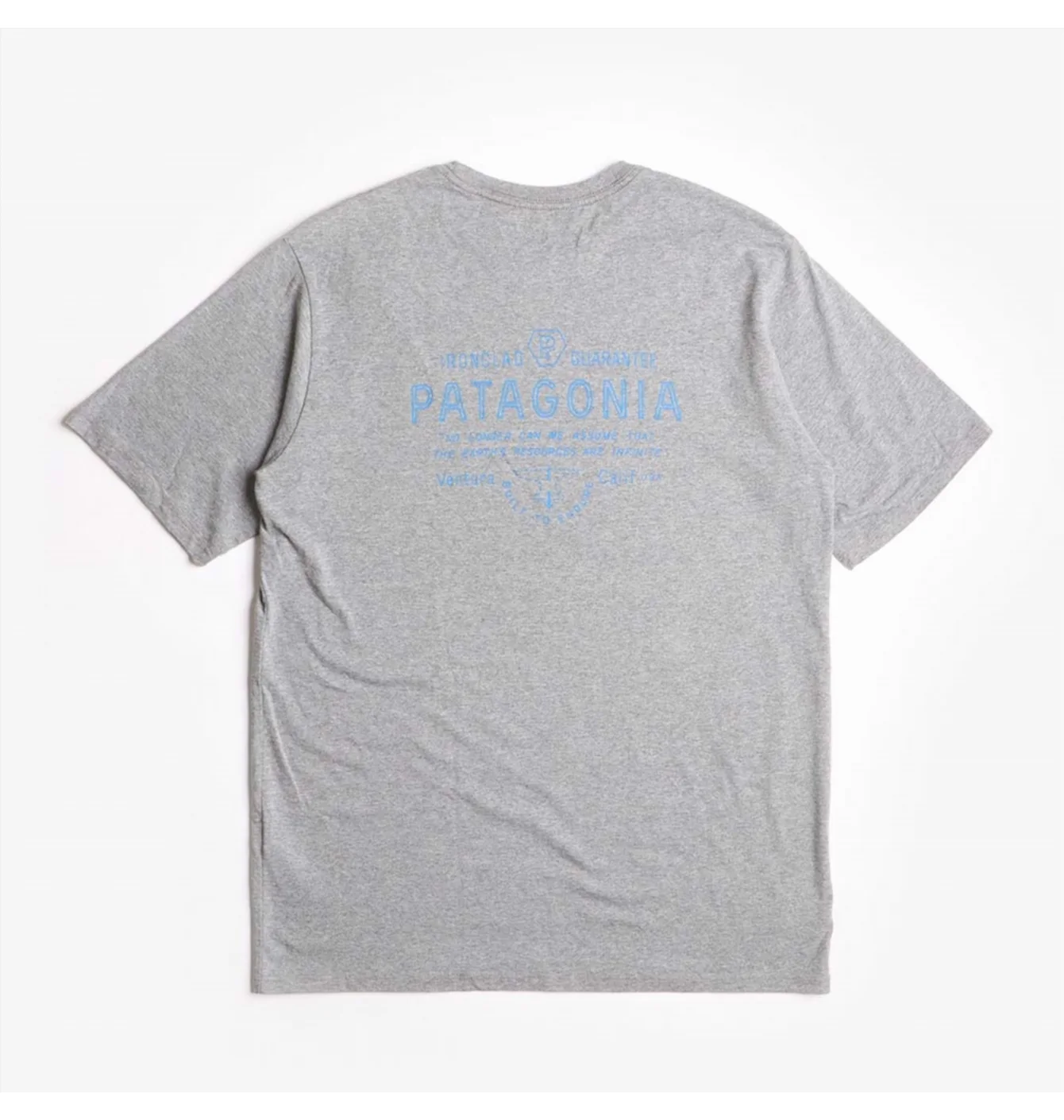 Patagonia Tee