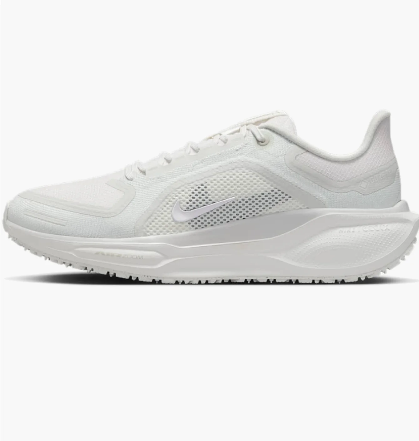 W NIKE PEGASUS 41 GORE TEX