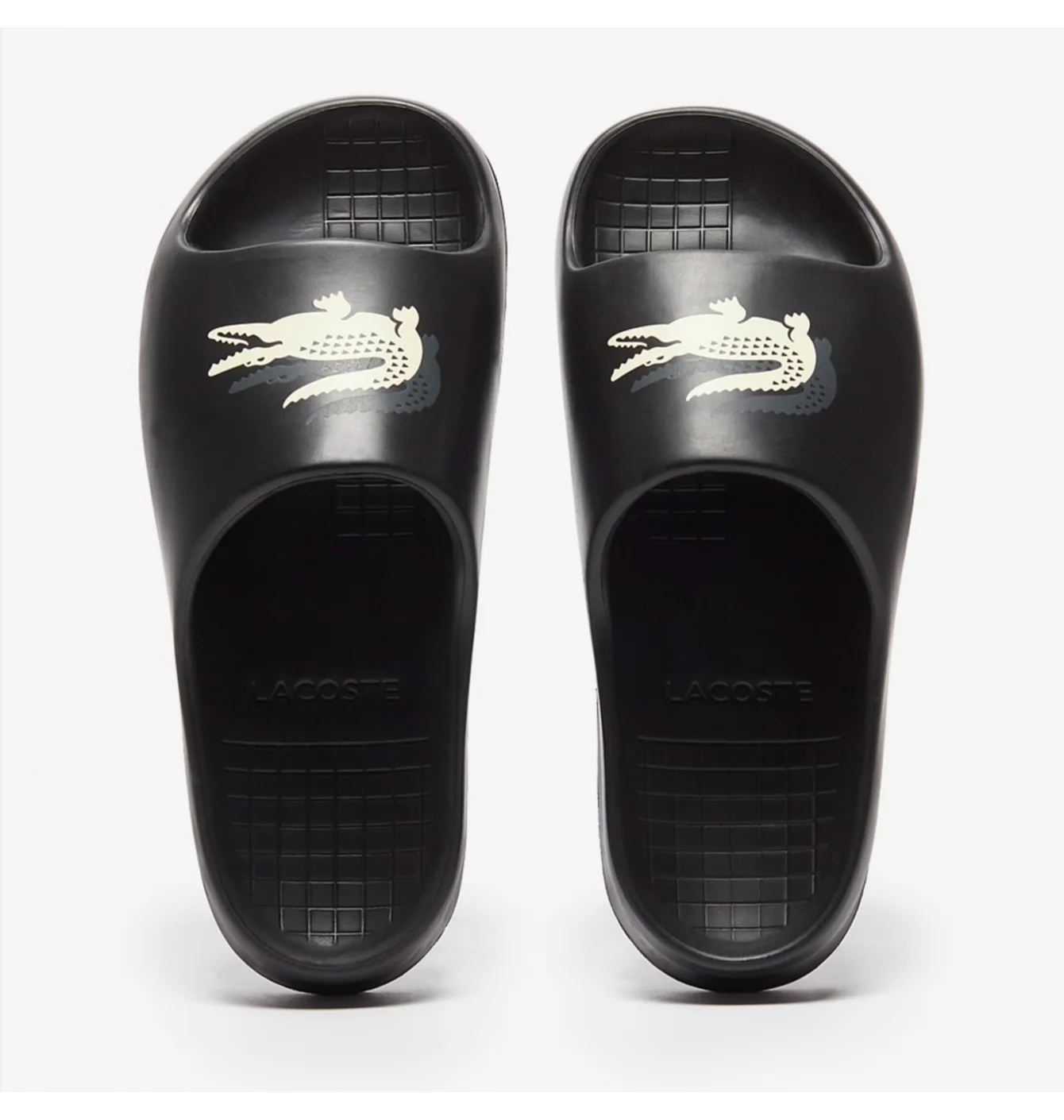 Lacoste Crovo Evo 2.0