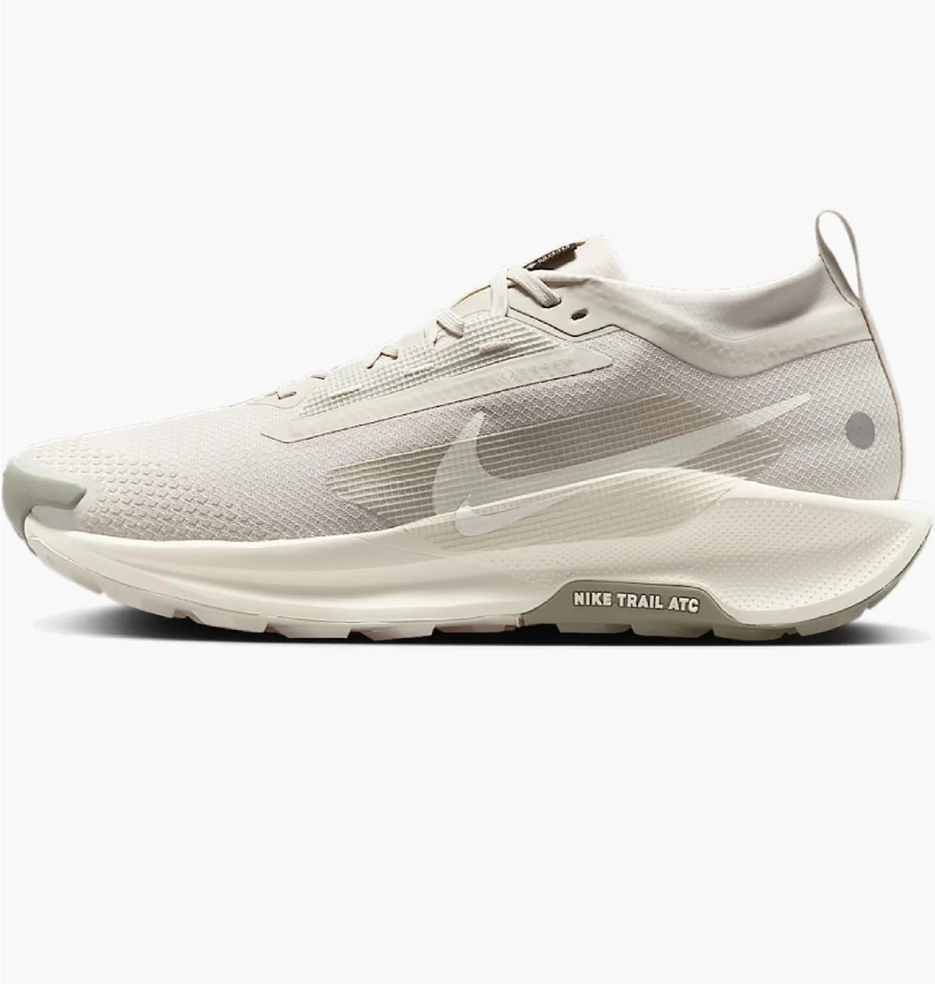 NIKE PEGASUS TRAIL 5 GTX