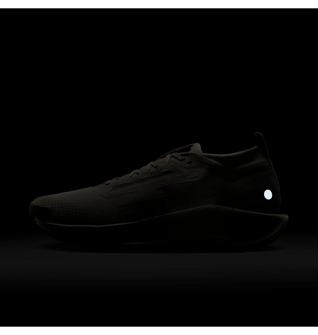 NIKE PEGASUS TRAIL 5 GTX