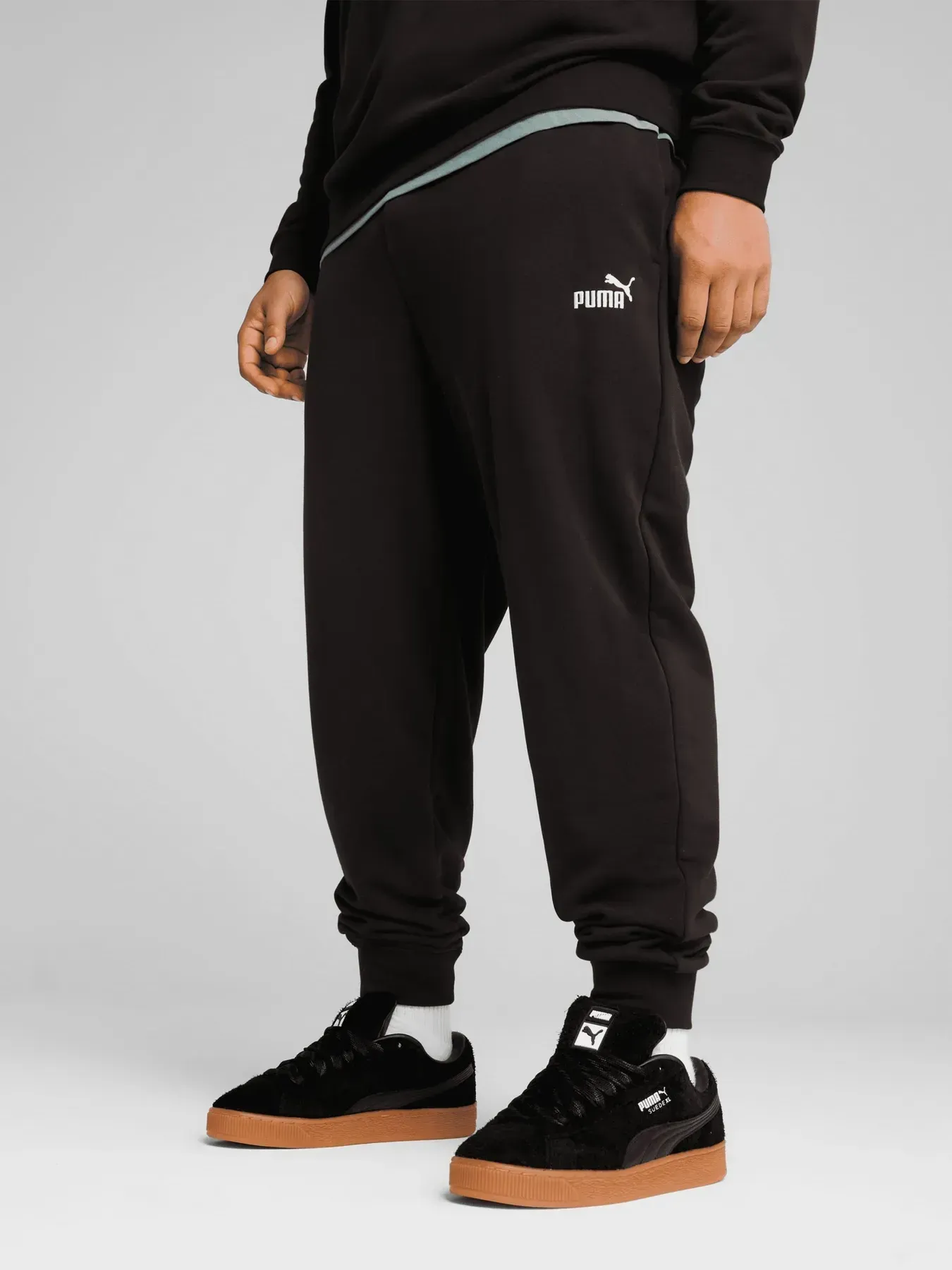 Брюки чоловічі Puma Ess No. 1 Logo Sweatpants (68260803)