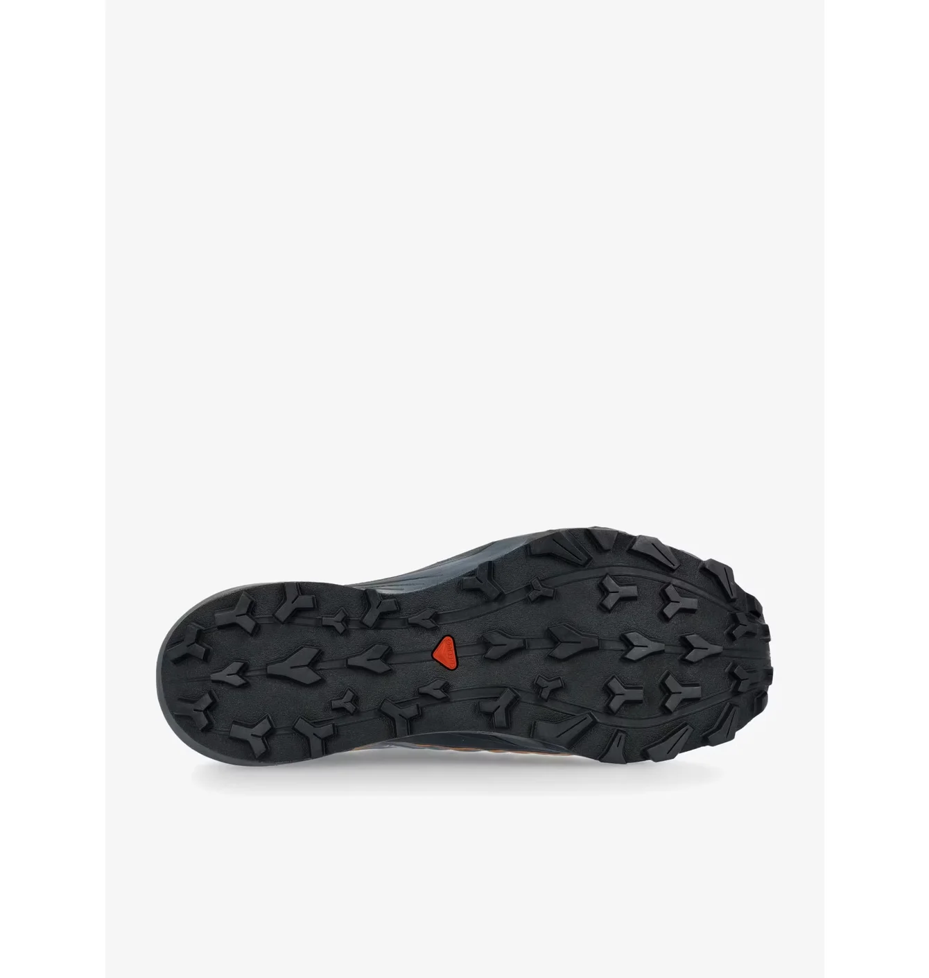 Кросівки чоловічі Salomon Thundercross Gtx Grey 473831