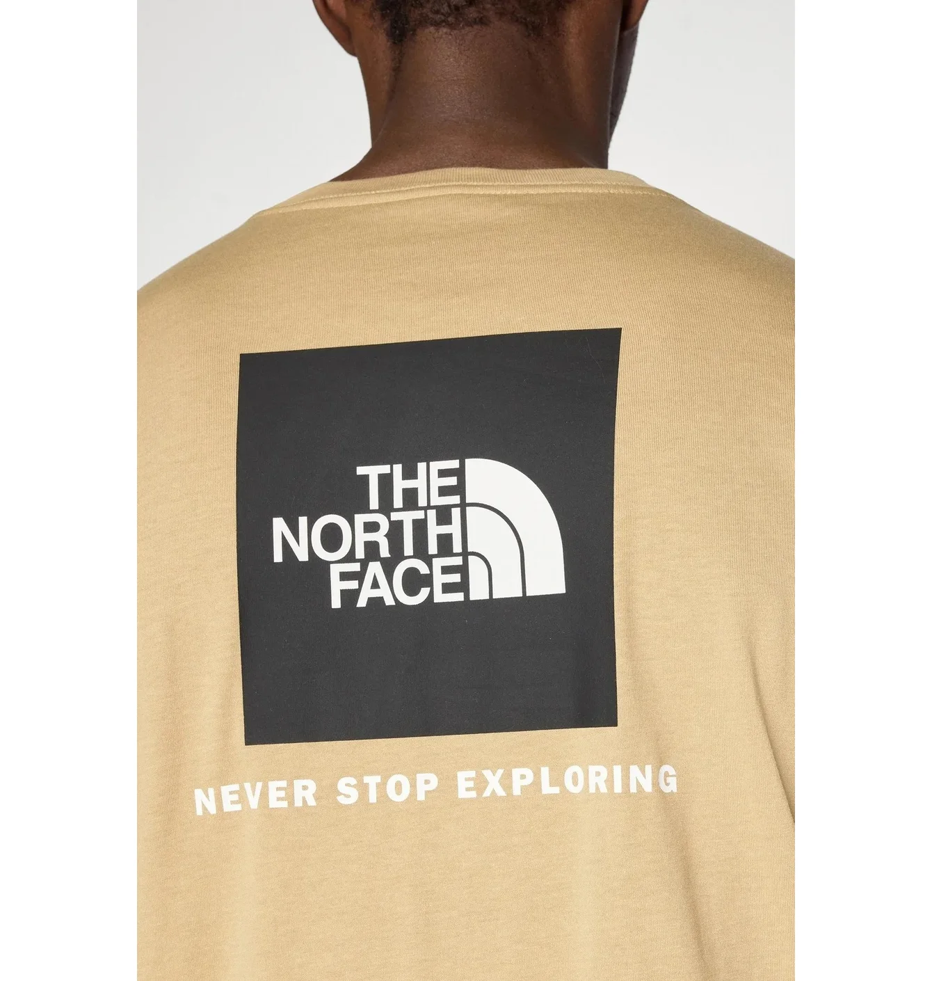 Футболка чоловіча The North Face Evolution Box Beige NF0A8B6KBOX