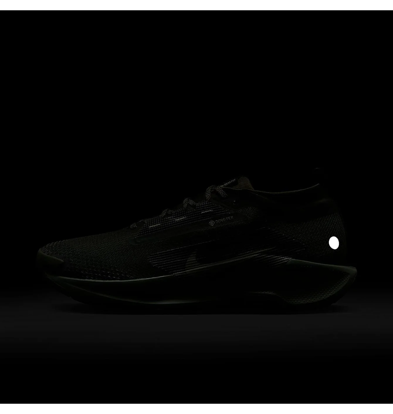 Кросівки чоловічі Nike Reactx Pegasus Trail 5 Gtx Sp Green HQ7494-300